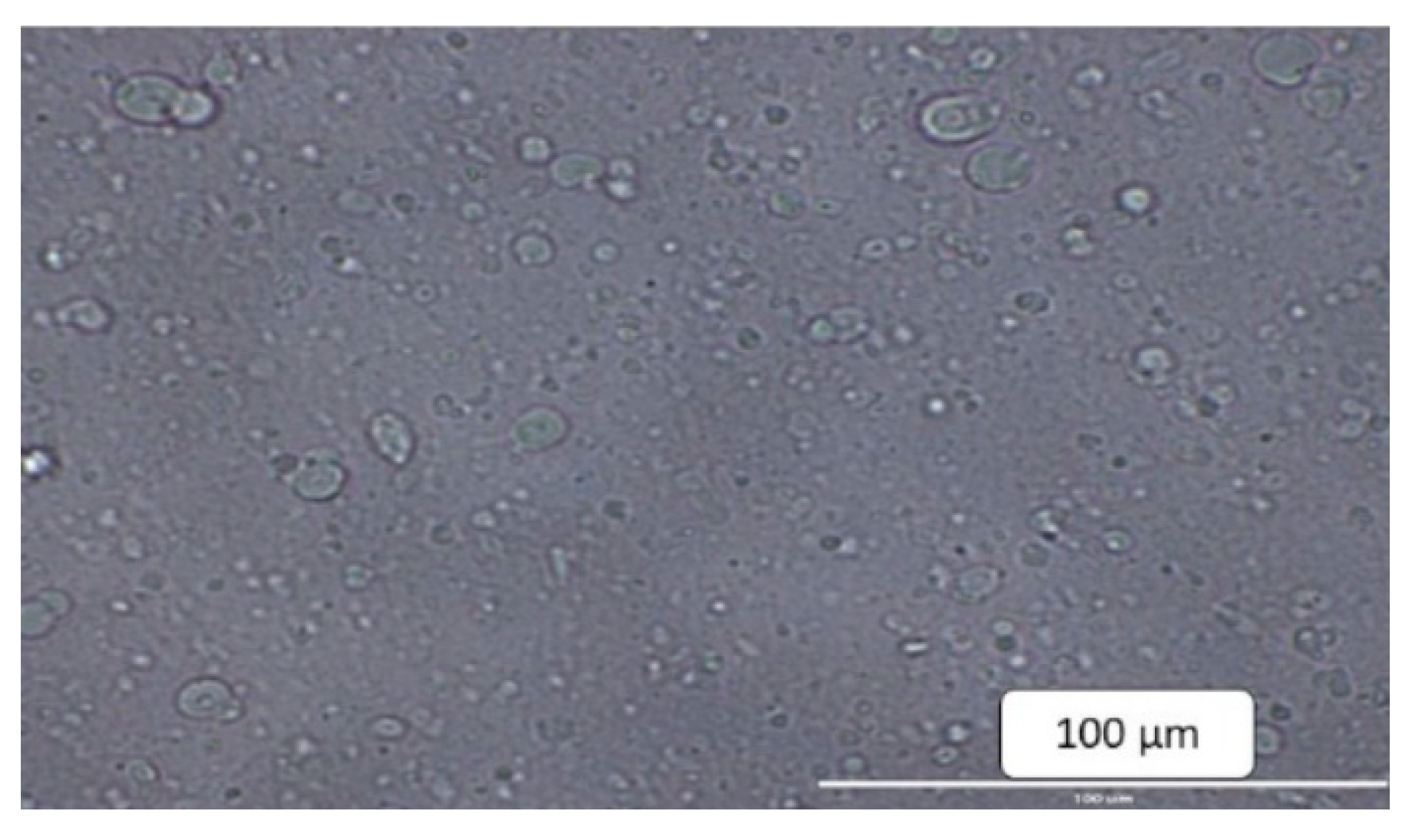Molecules 27 04828 g002
