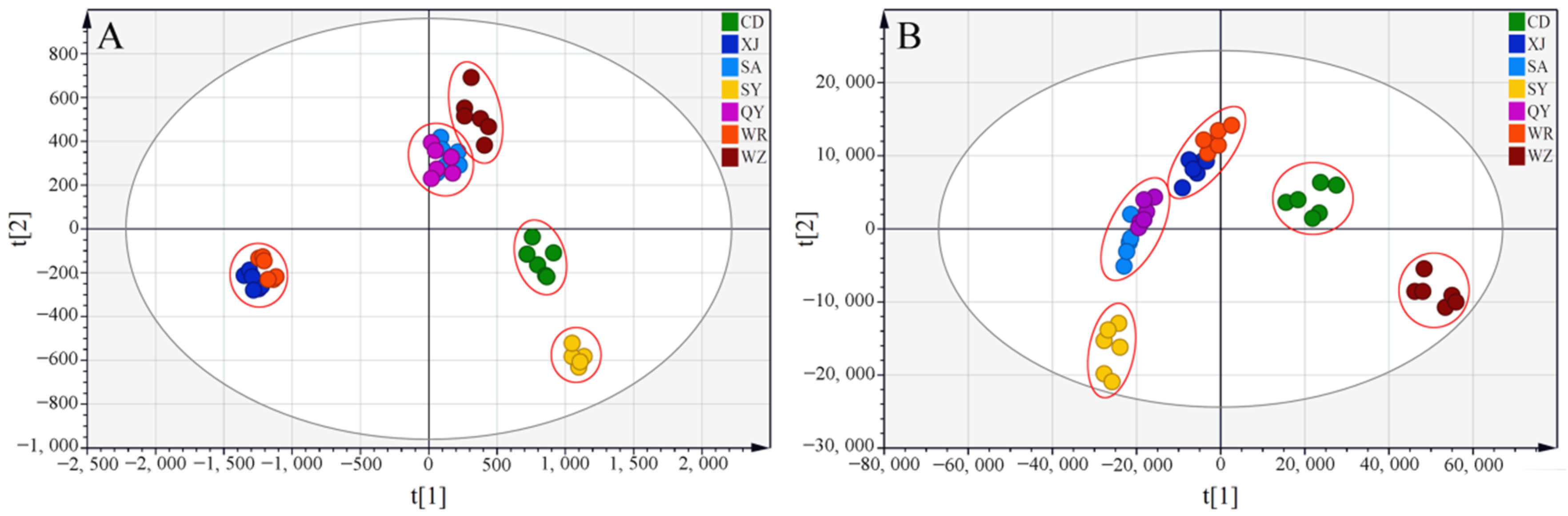 Quantitative Analysis and Differential Evaluation of Radix Bupleuri ...