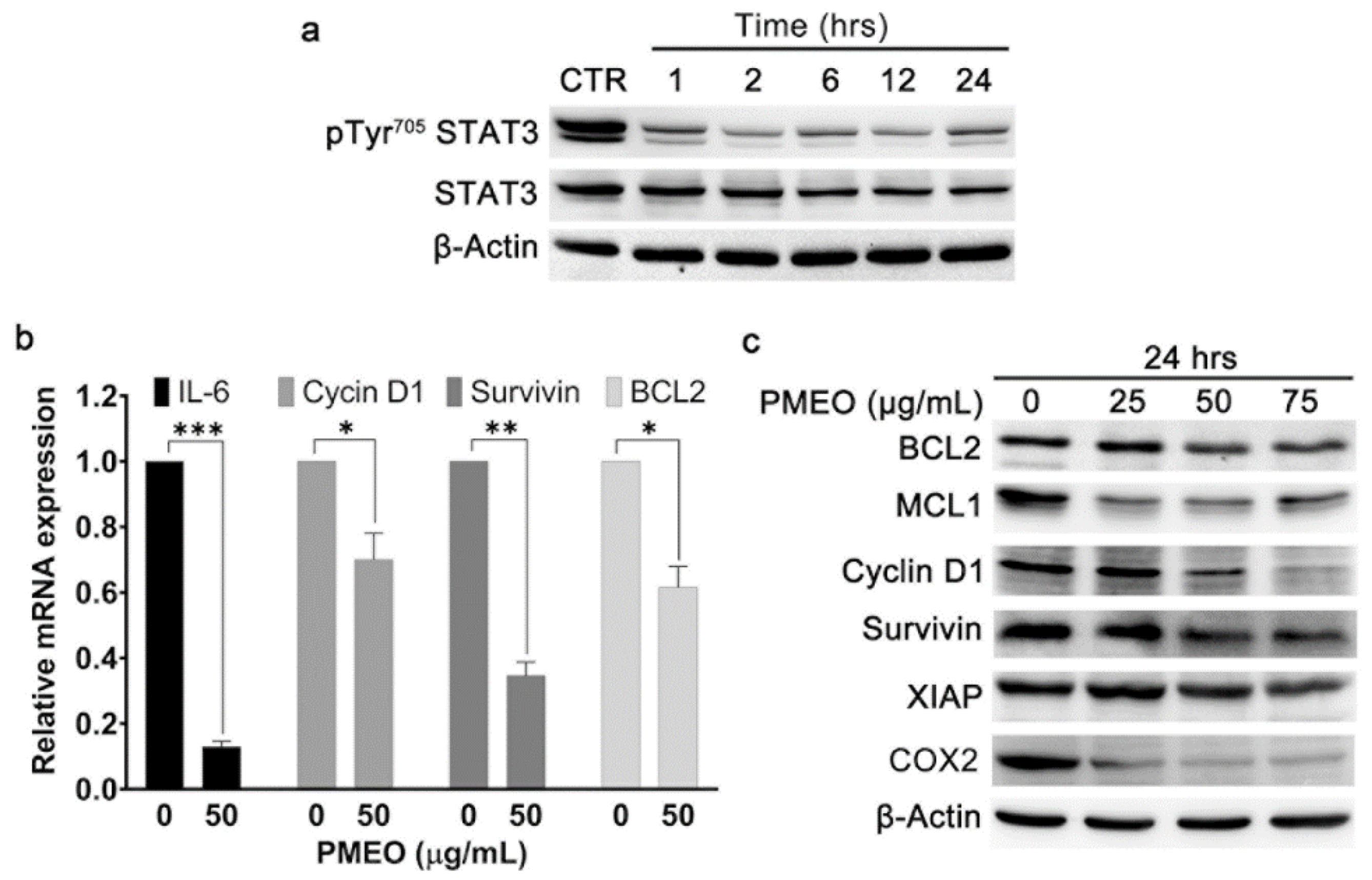 Molecules 27 04834 g004 550