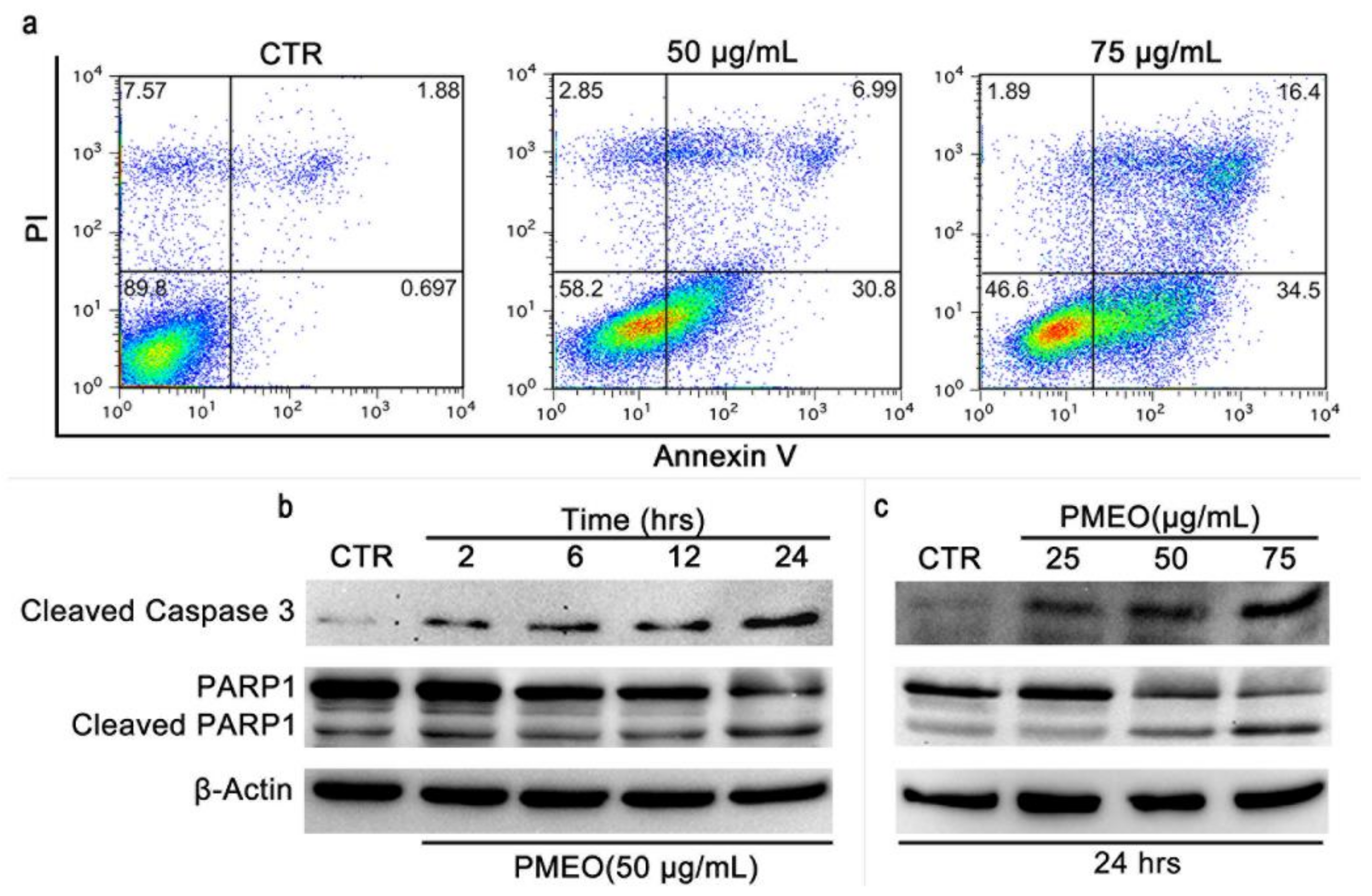 Molecules 27 04834 g007 550
