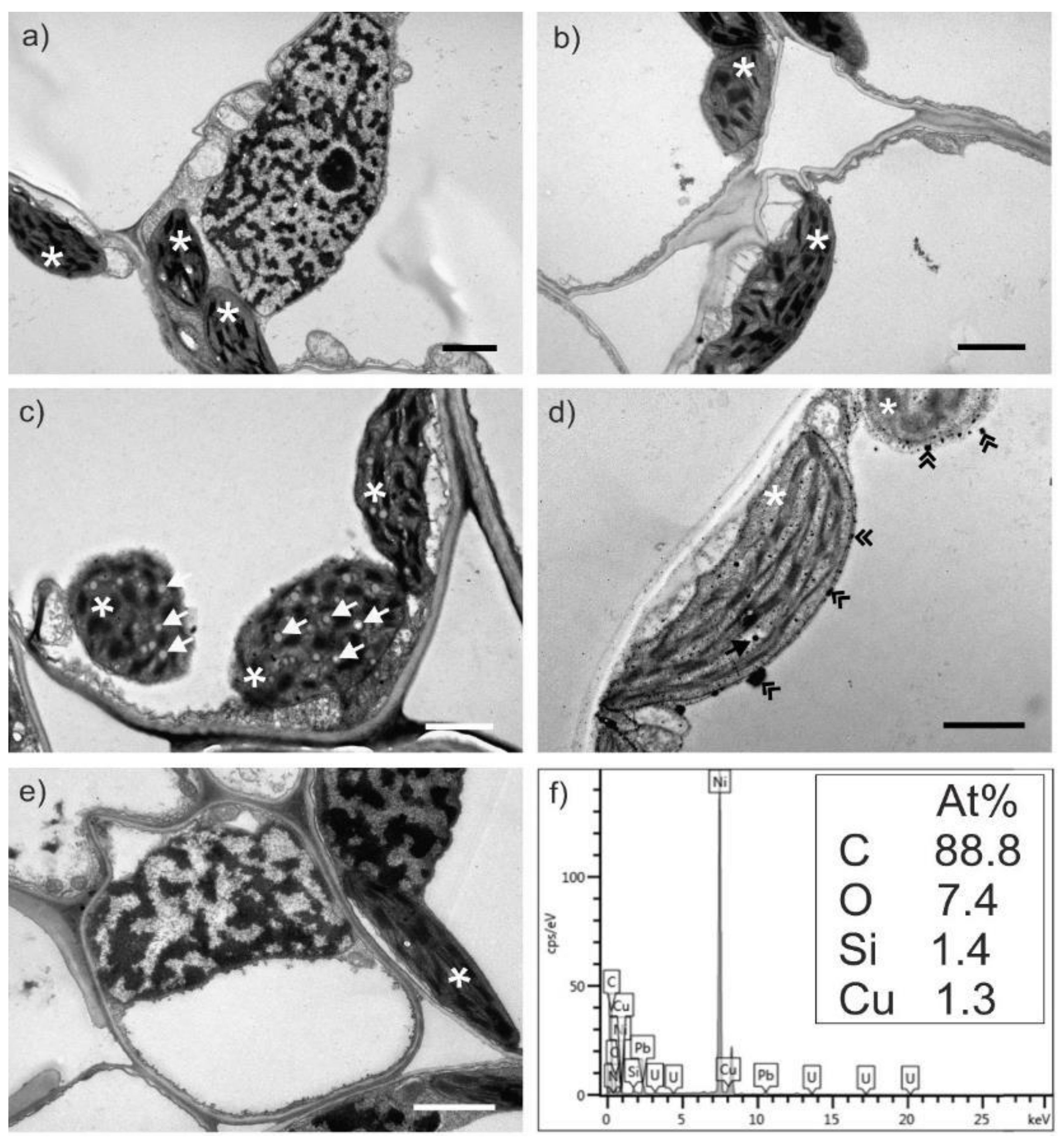 Molecules 27 04835 g005