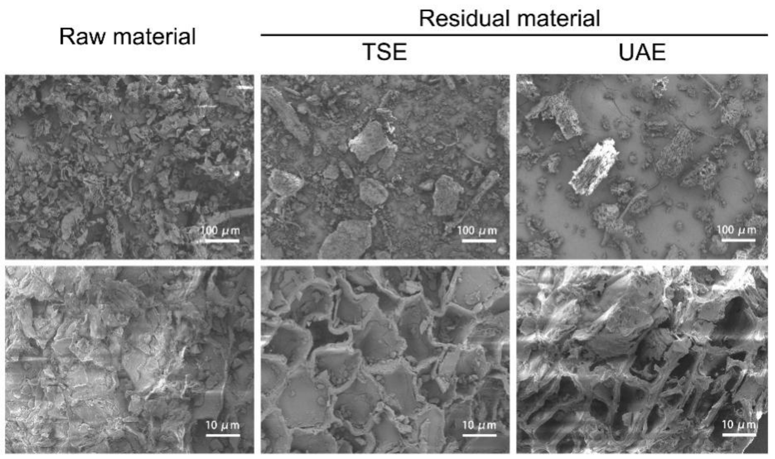 Molecules 27 04837 g006 550