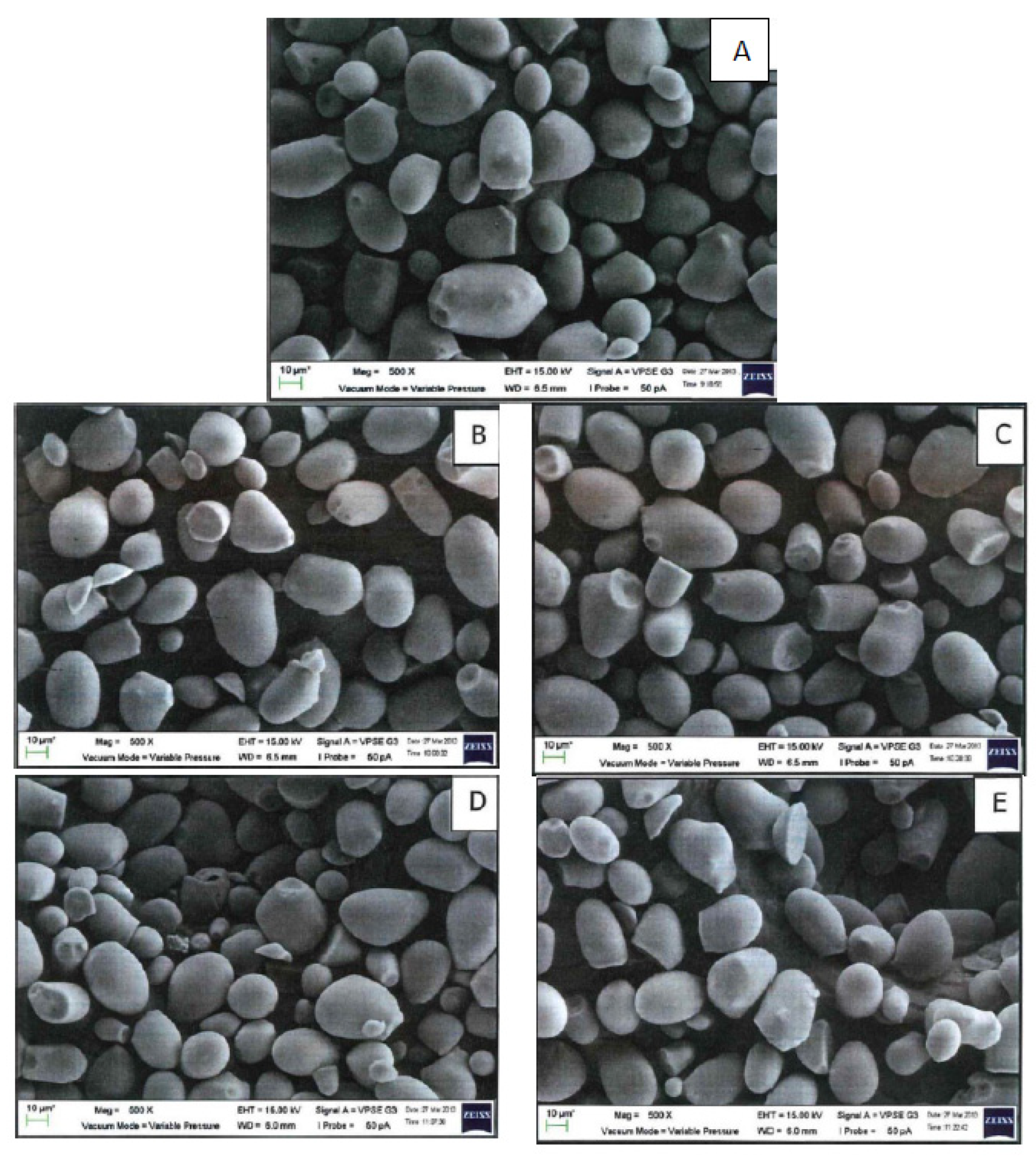 Molecules 27 04838 g001 Molecules 27 04838 g001