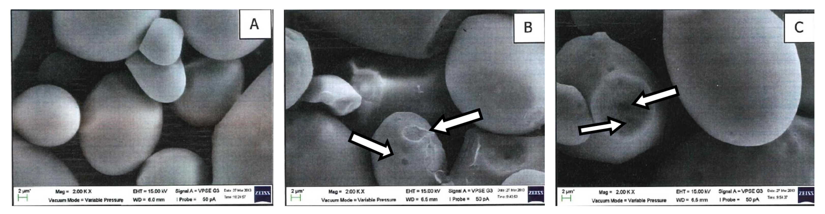 Molecules 27 04838 g002 Molecules 27 04838 g002