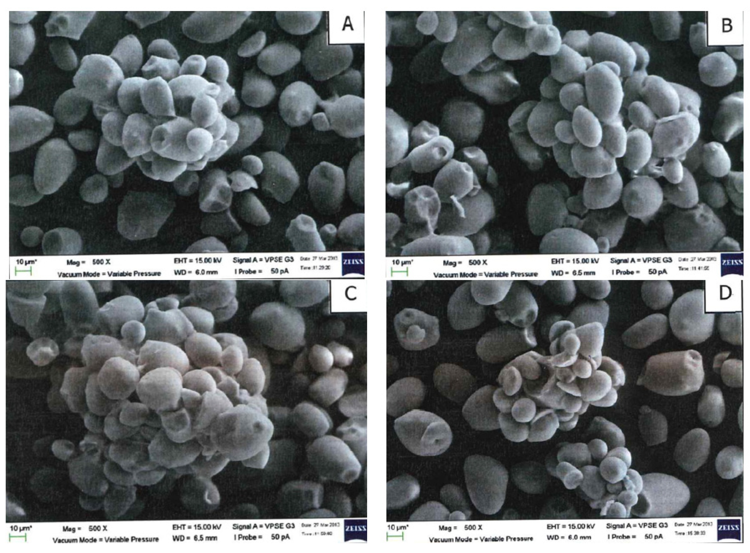 Molecules 27 04838 g003 Molecules 27 04838 g003