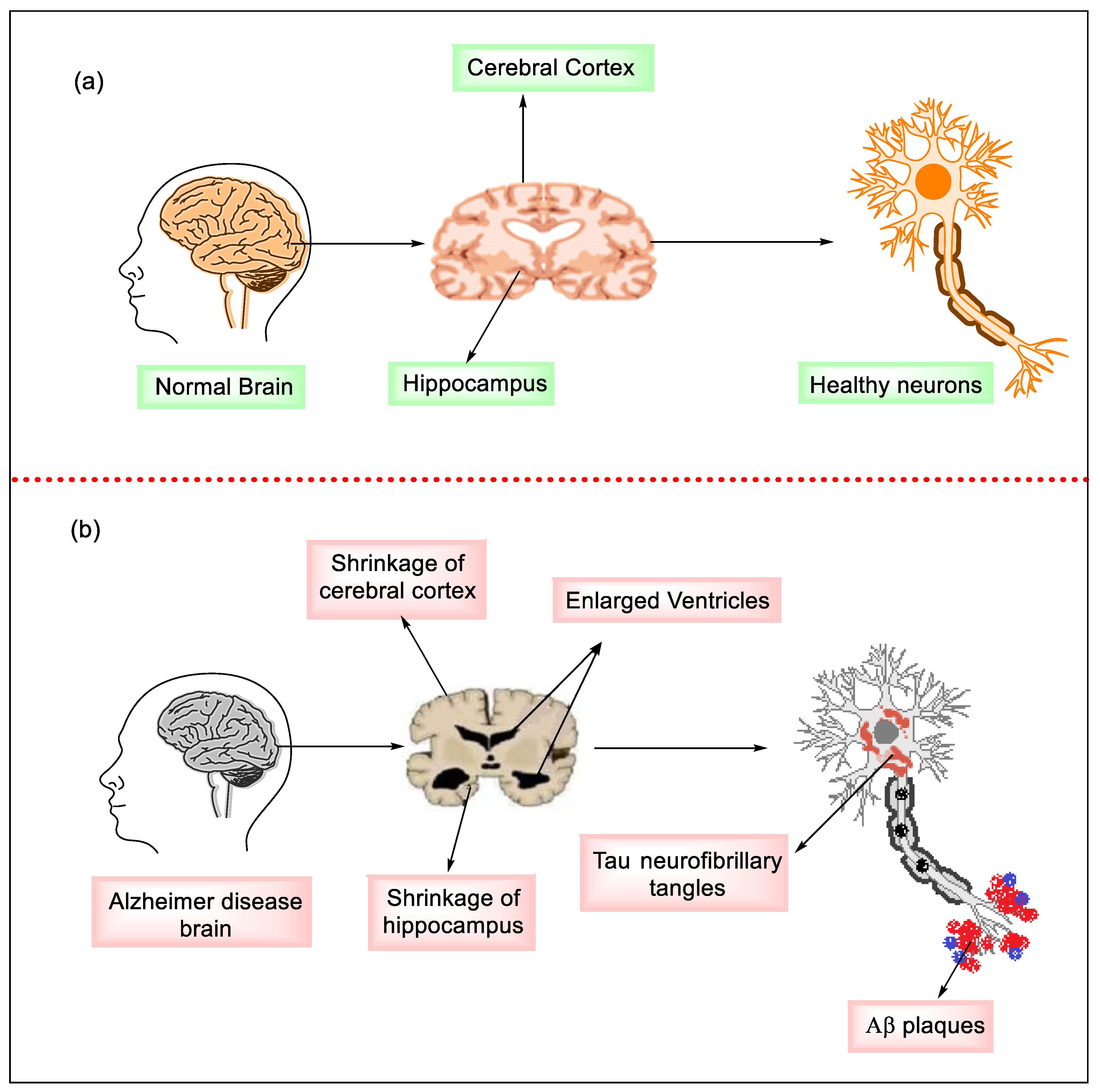 Molecules 27 04839 g001