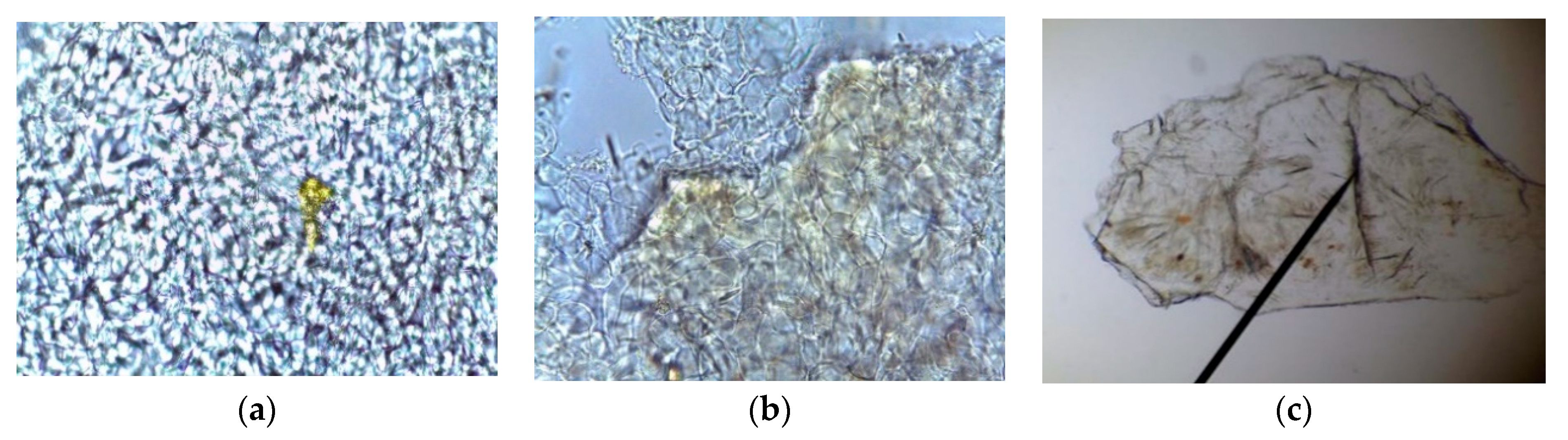 Molecules 27 04843 g001 550