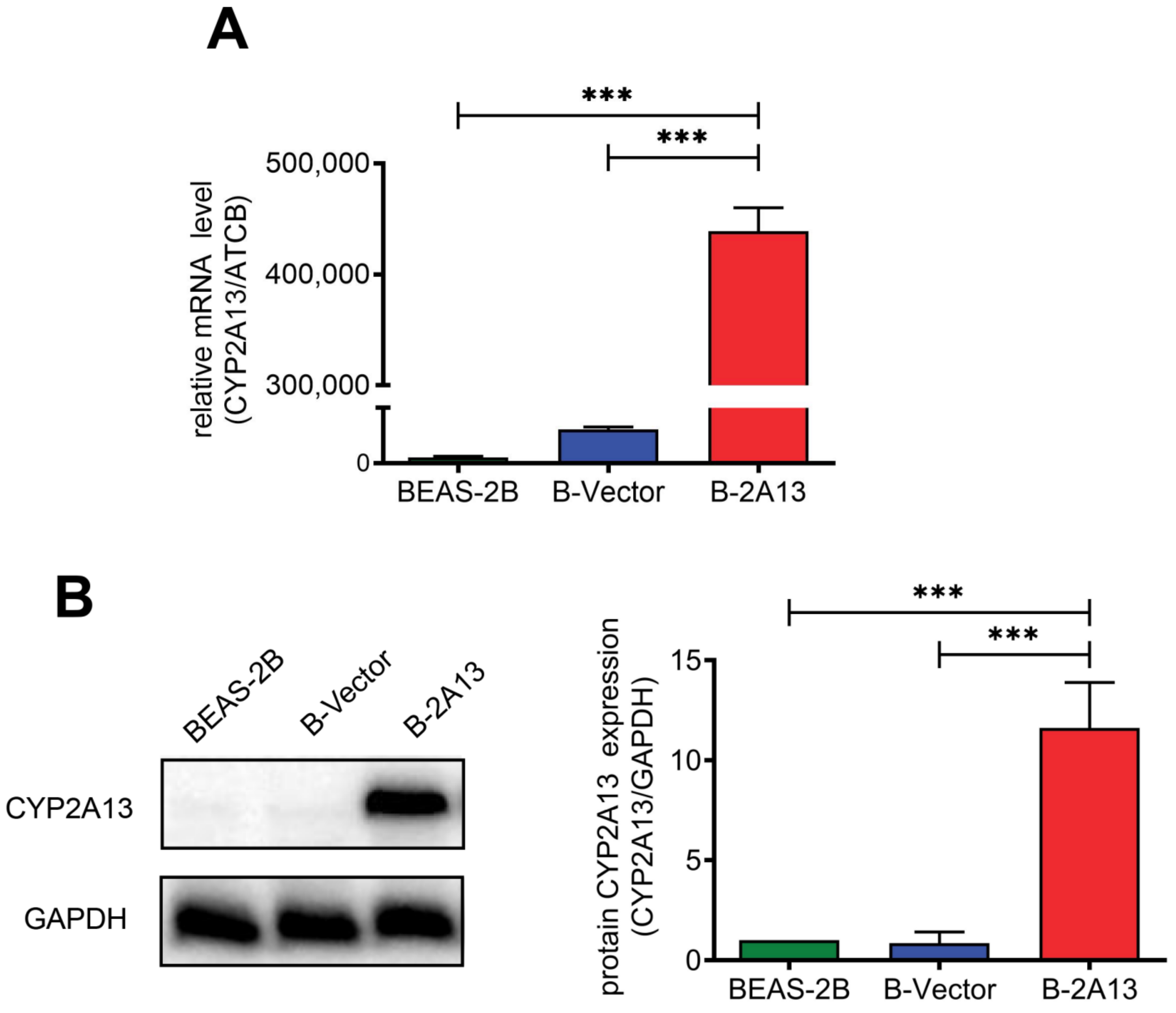 Molecules 27 04851 g001 Molecules 27 04851 g001