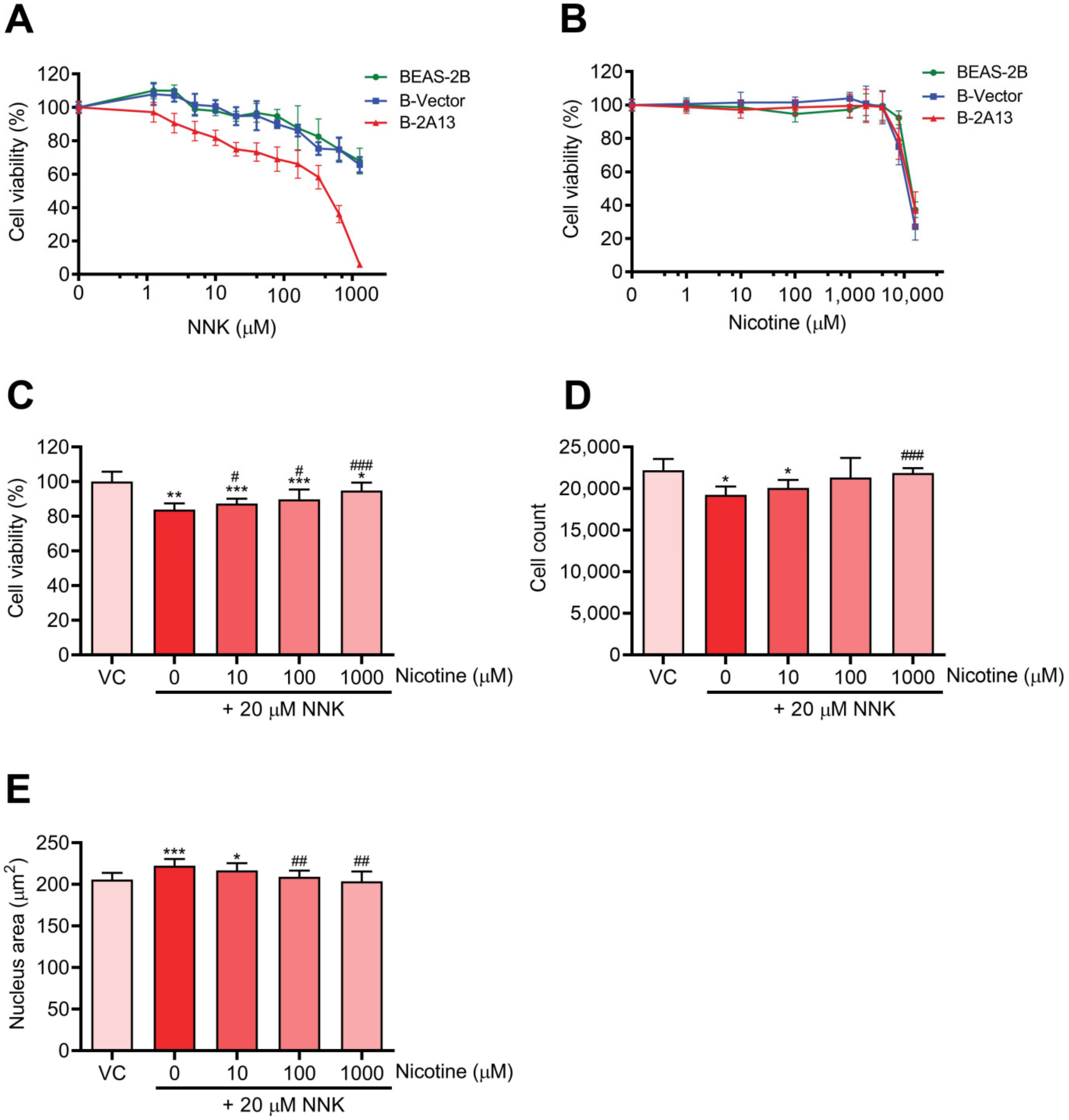 Molecules 27 04851 g002 Molecules 27 04851 g002