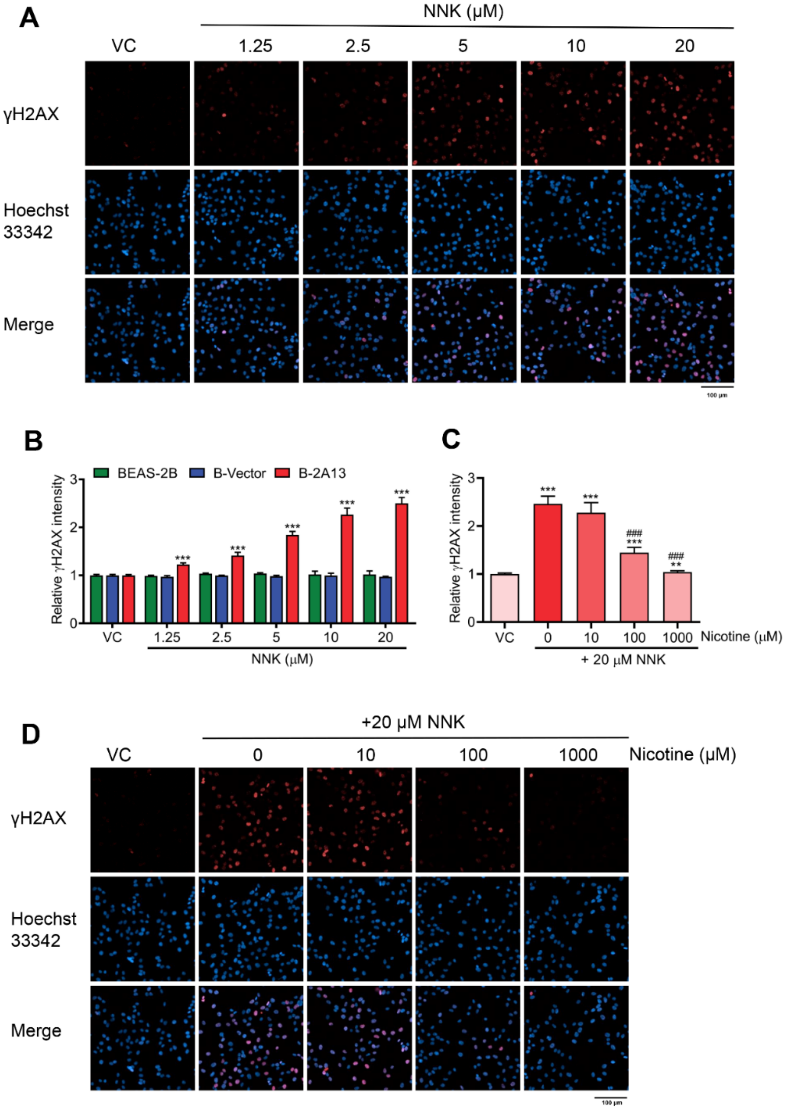Molecules 27 04851 g003 Molecules 27 04851 g003