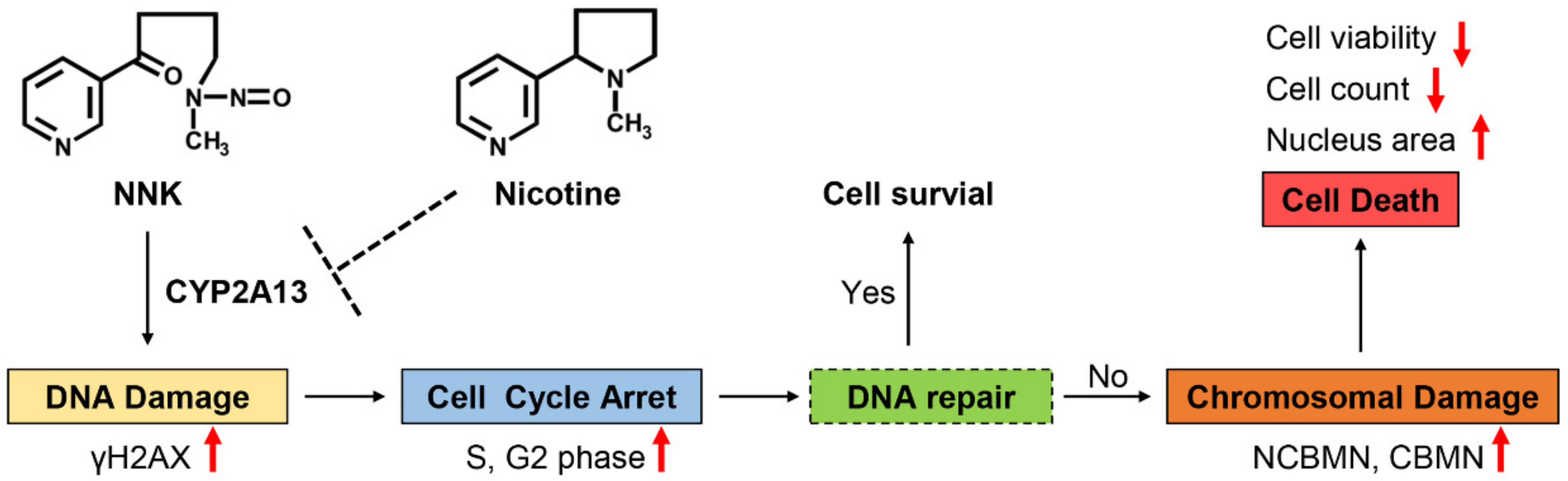 Molecules 27 04851 g006 Molecules 27 04851 g006