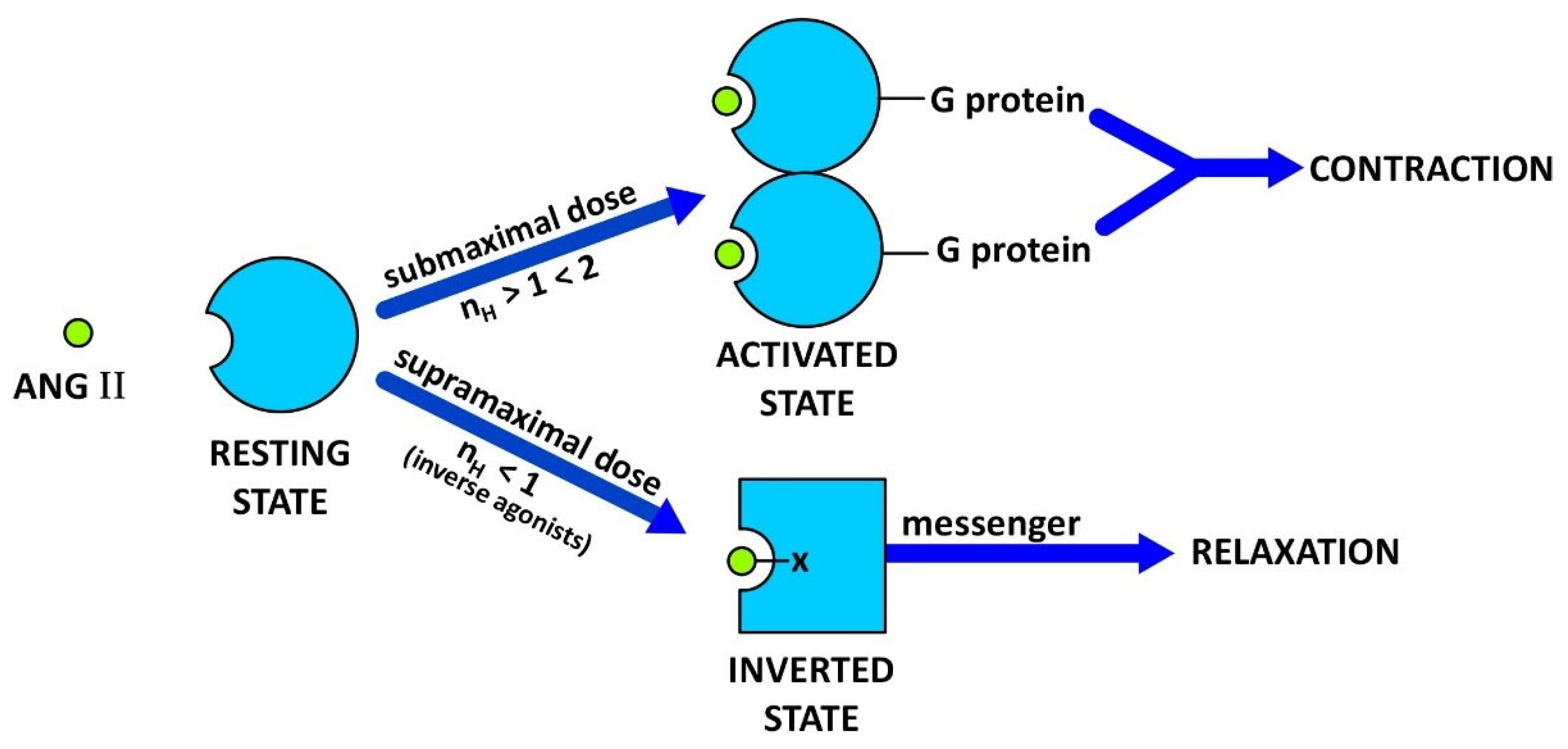 Molecules 27 04854 g001 550