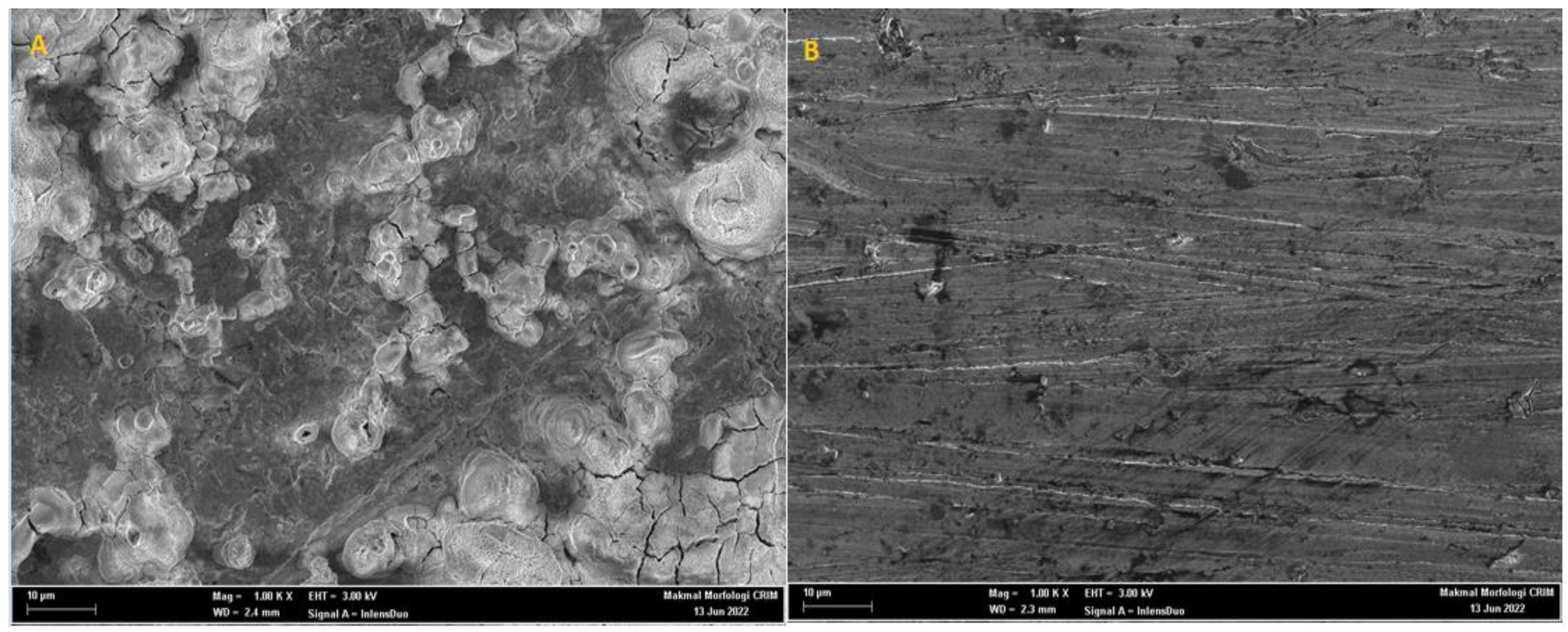 Molecules 27 04857 g010