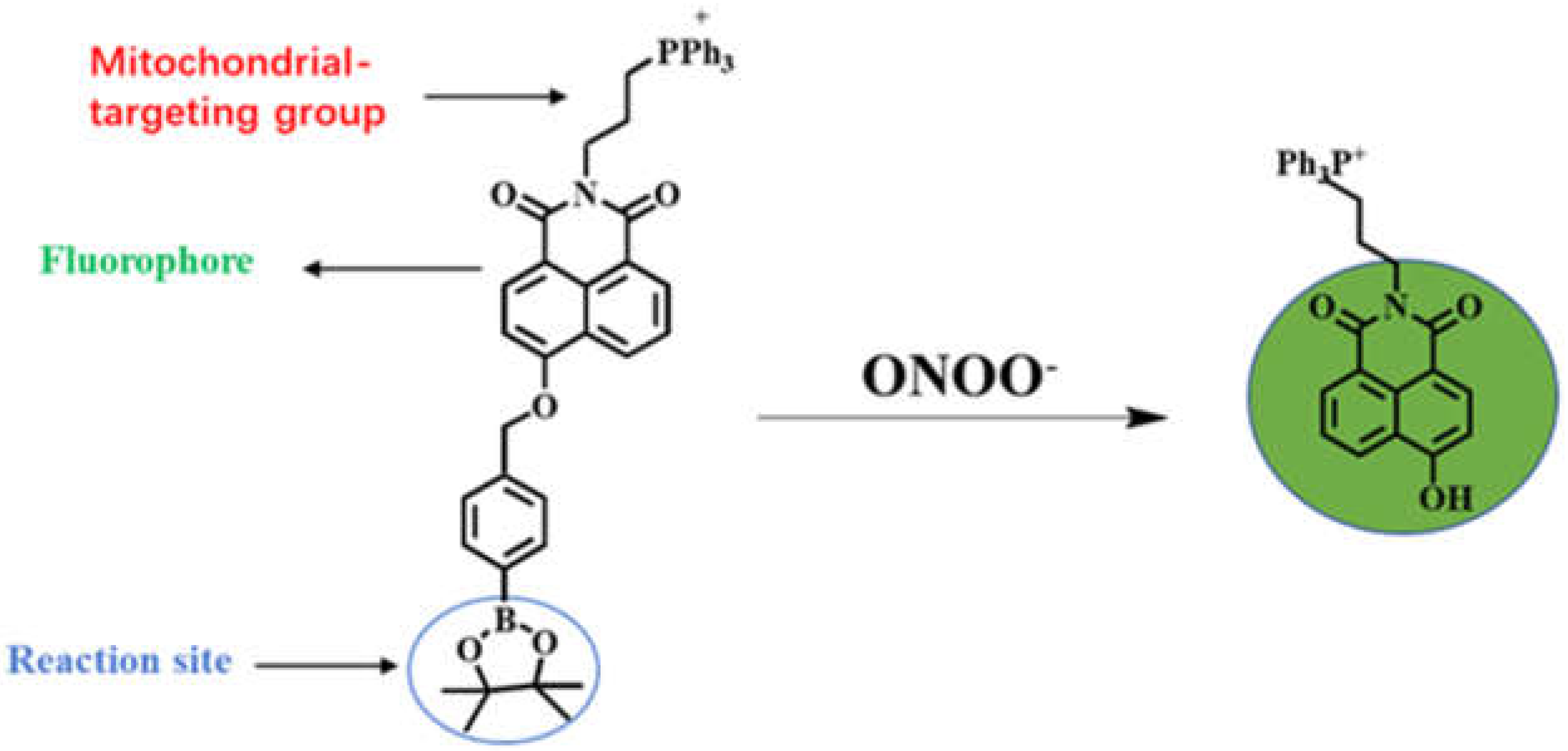 Molecules 27 04858 sch001 550