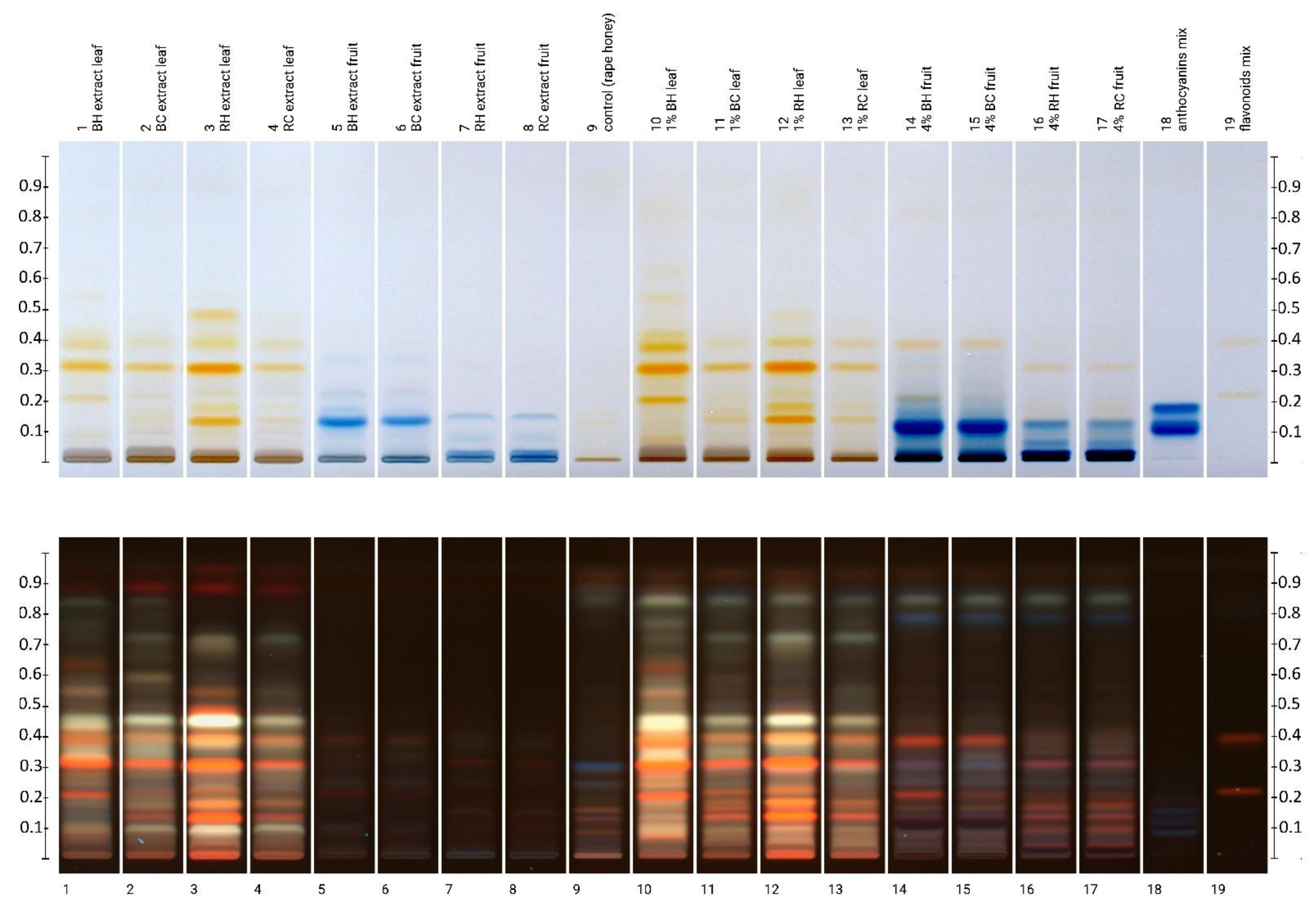 Molecules 27 04859 g002 Molecules 27 04859 g002
