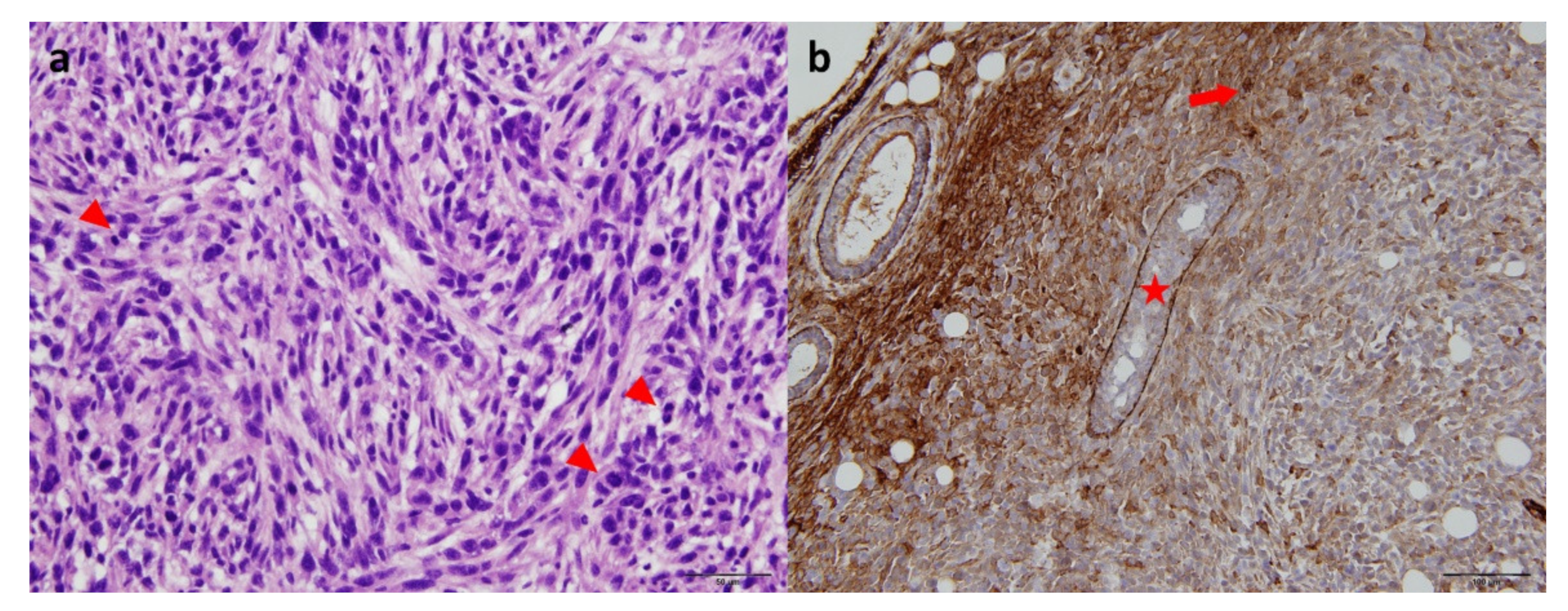 Molecules 27 04869 g001 550