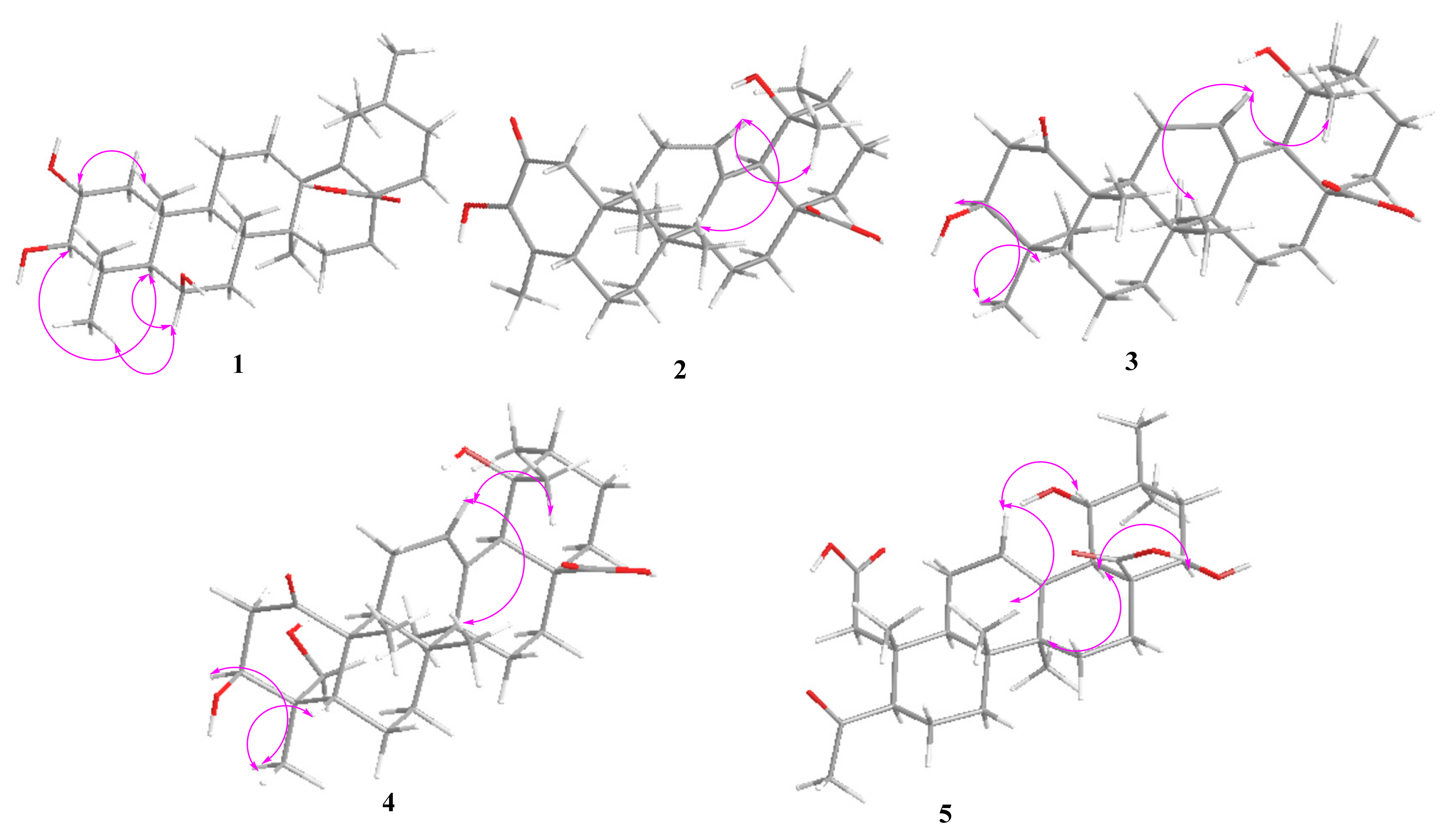 Molecules 27 04870 g003 550