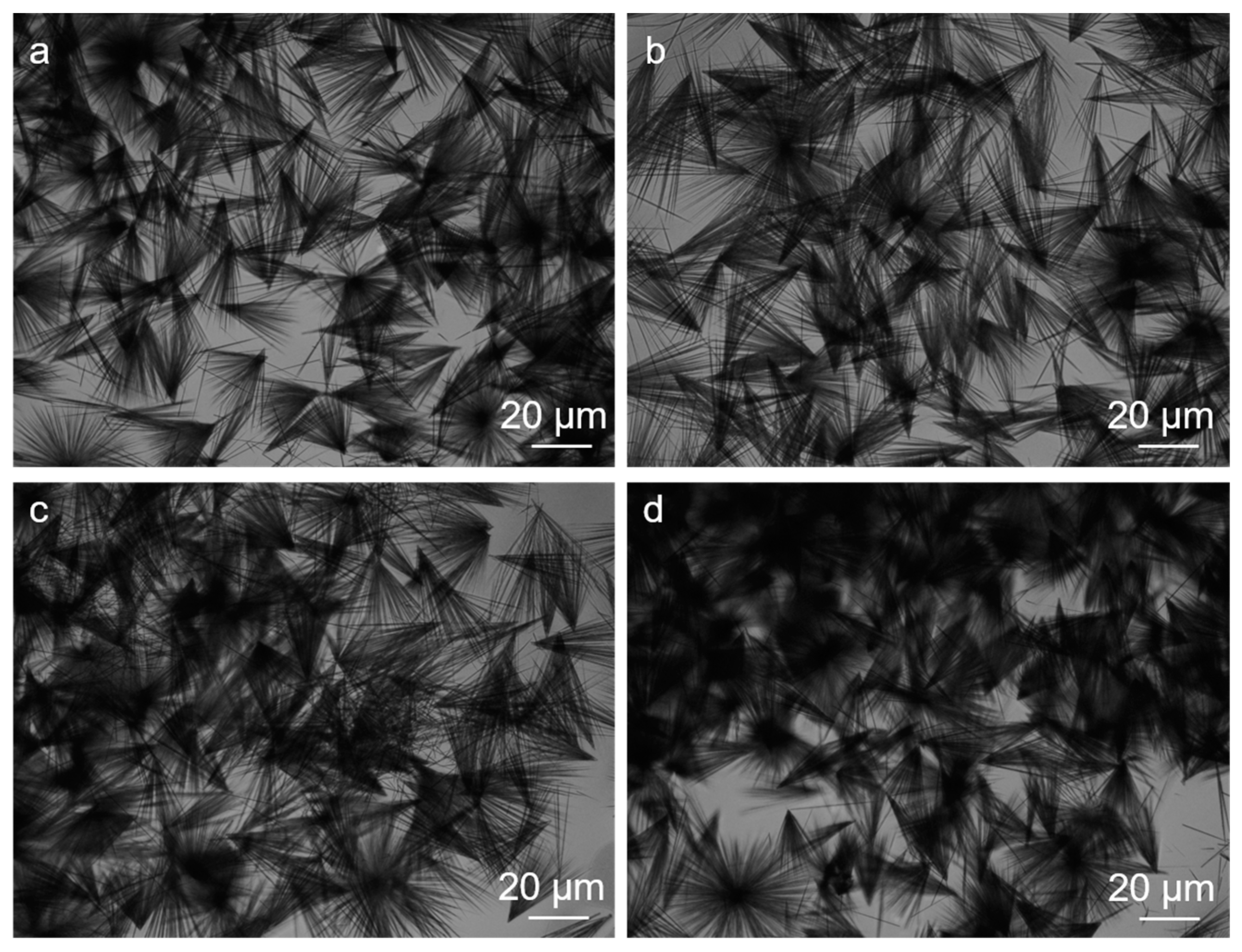 Molecules 27 04876 g003