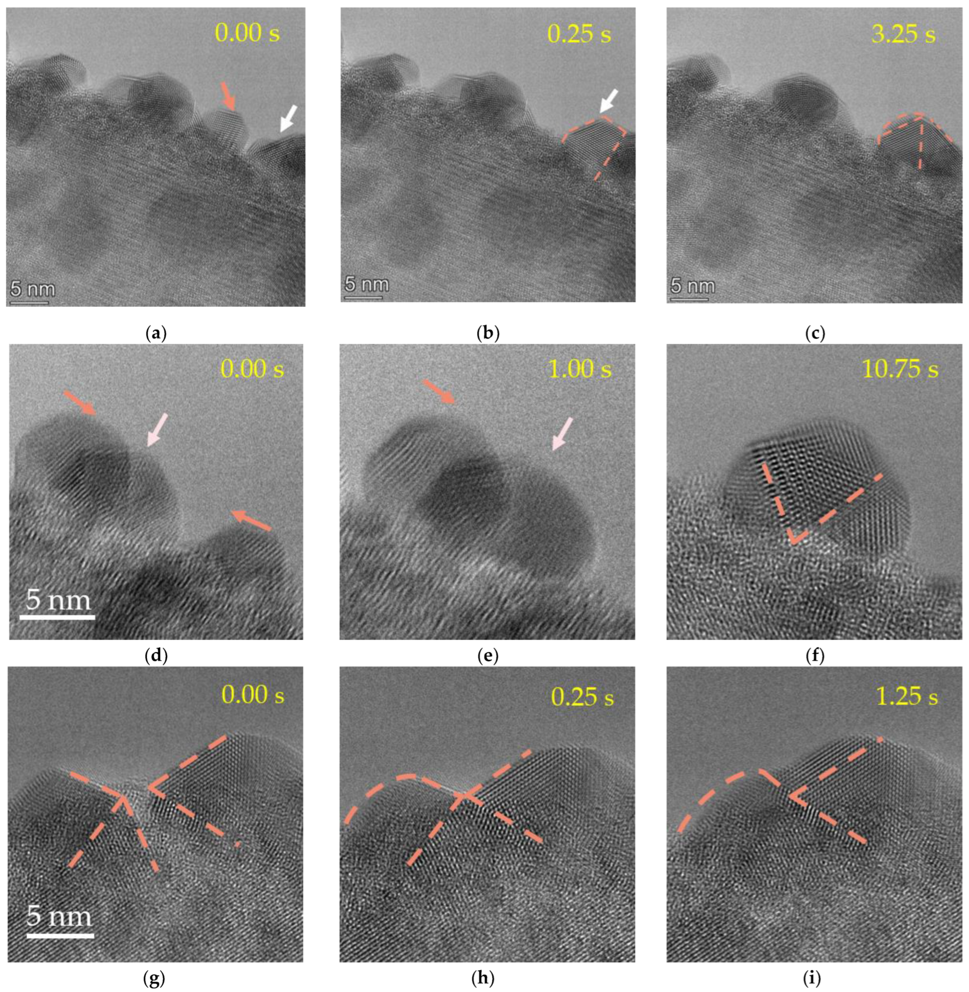 Molecules 27 04877 g002