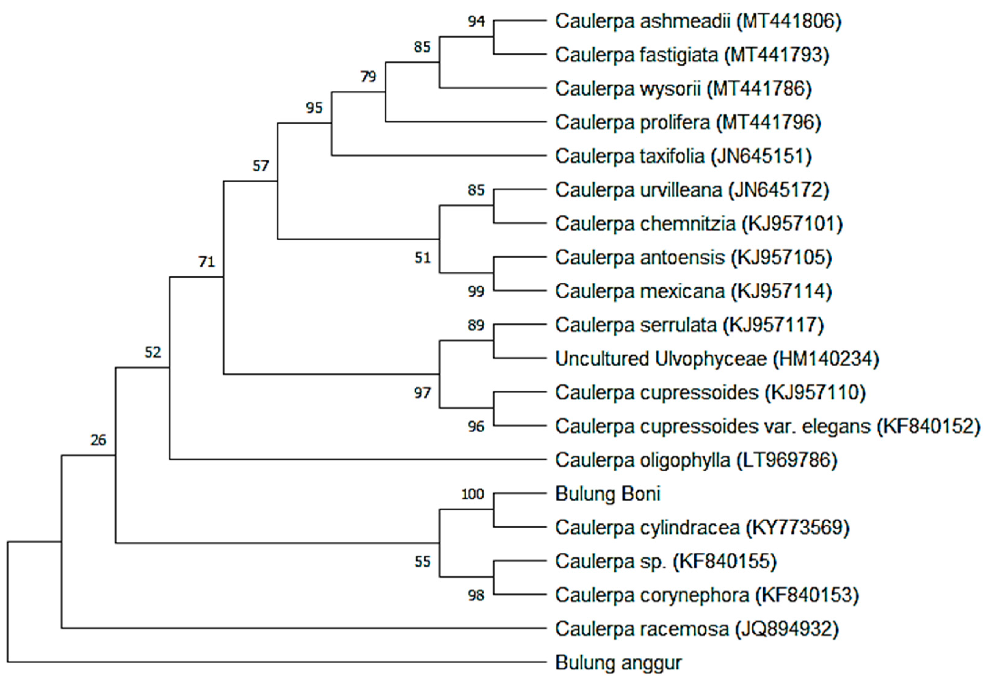 Molecules 27 04879 g005