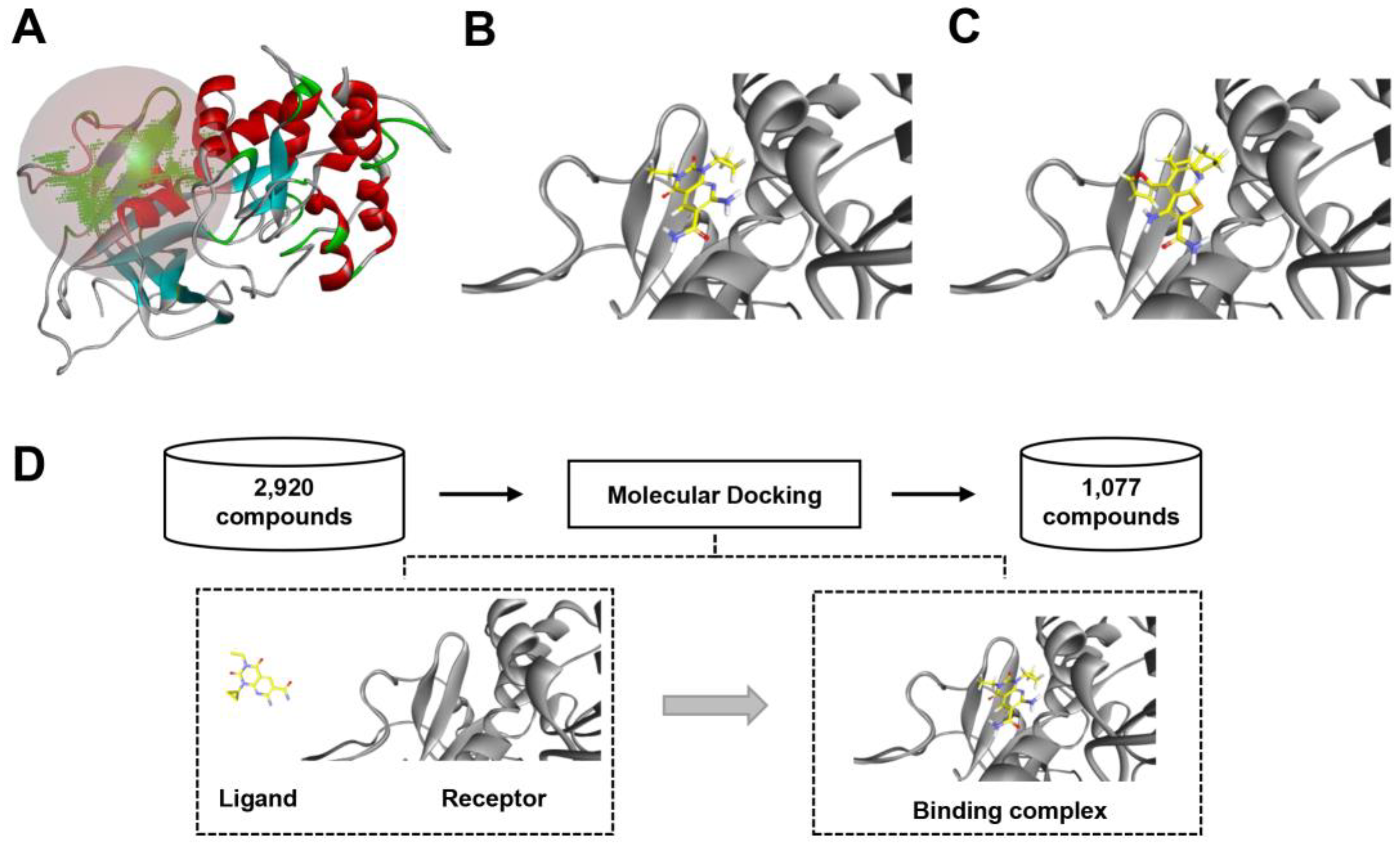 Molecules 27 04886 g004