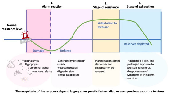ぱーぷる adidas Originals ZX 8000 Hanami Grey FU7311 | eBay