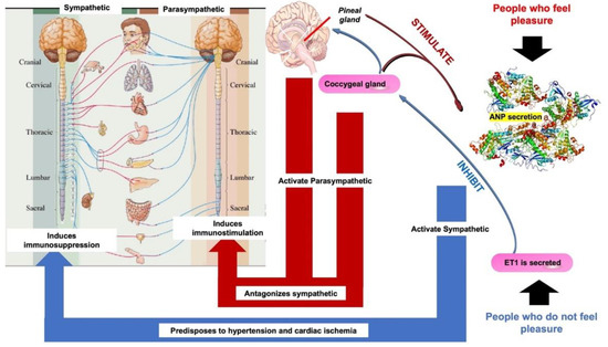ぱーぷる adidas Originals ZX 8000 Hanami Grey FU7311 | eBay