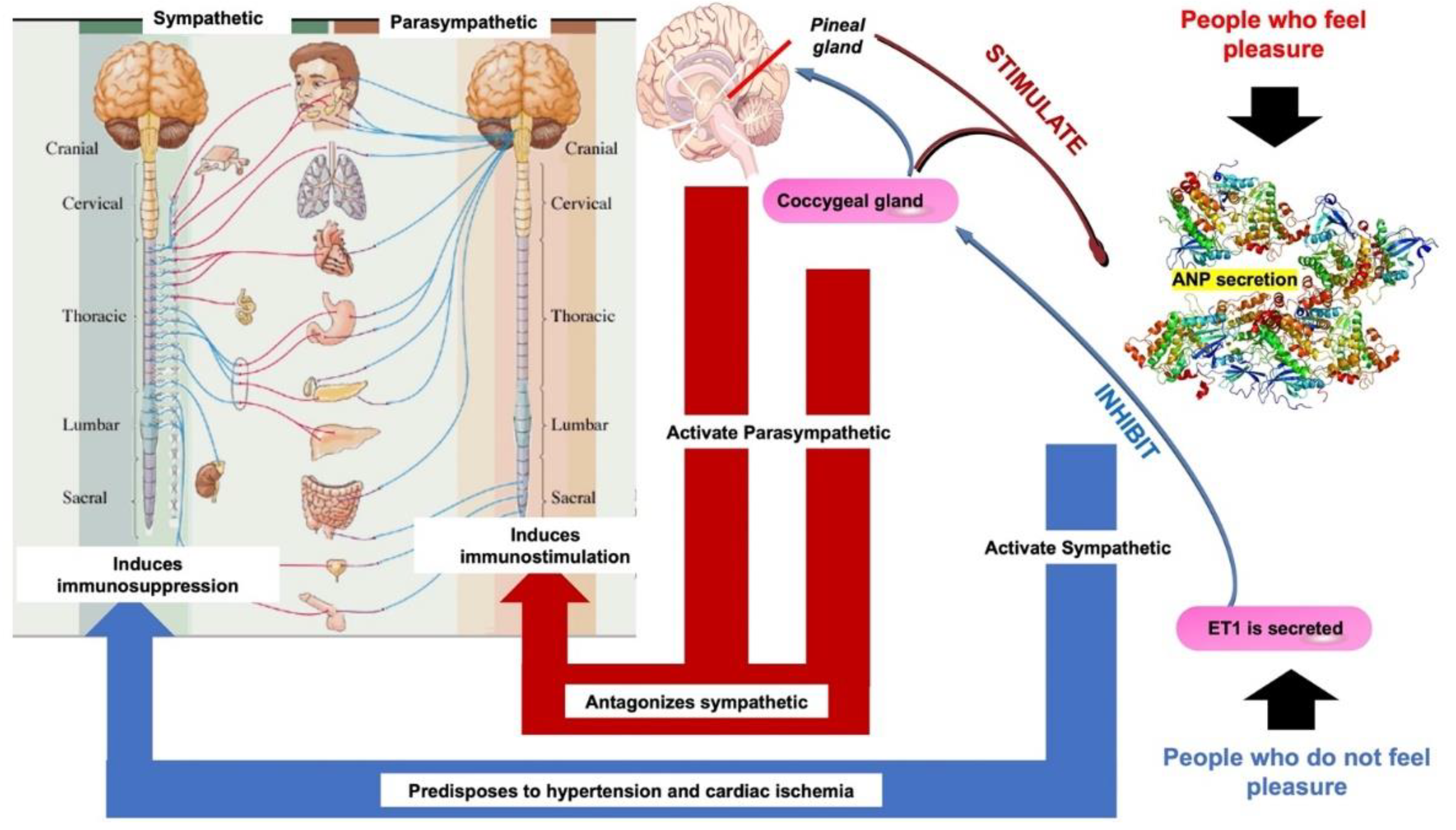 Molecules 27 04888 g004 Molecules 27 04888 g004