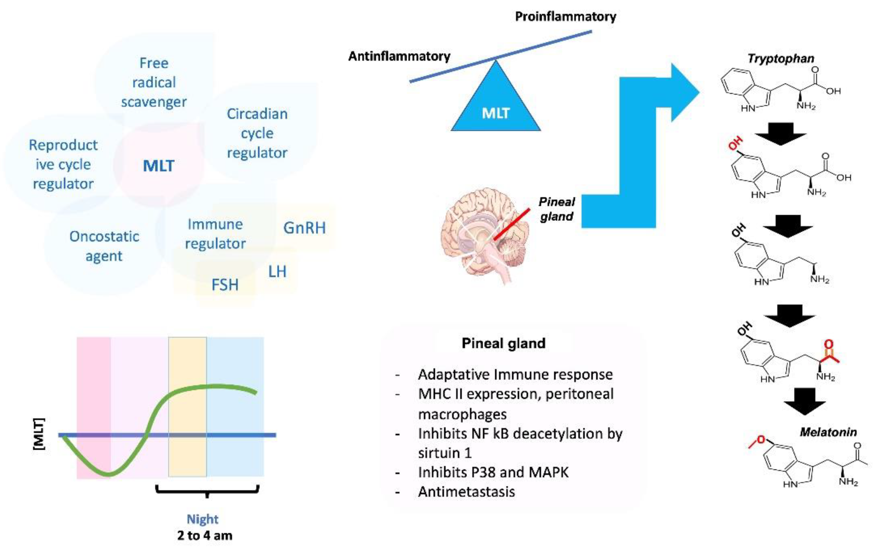 Molecules 27 04888 g005 Molecules 27 04888 g005