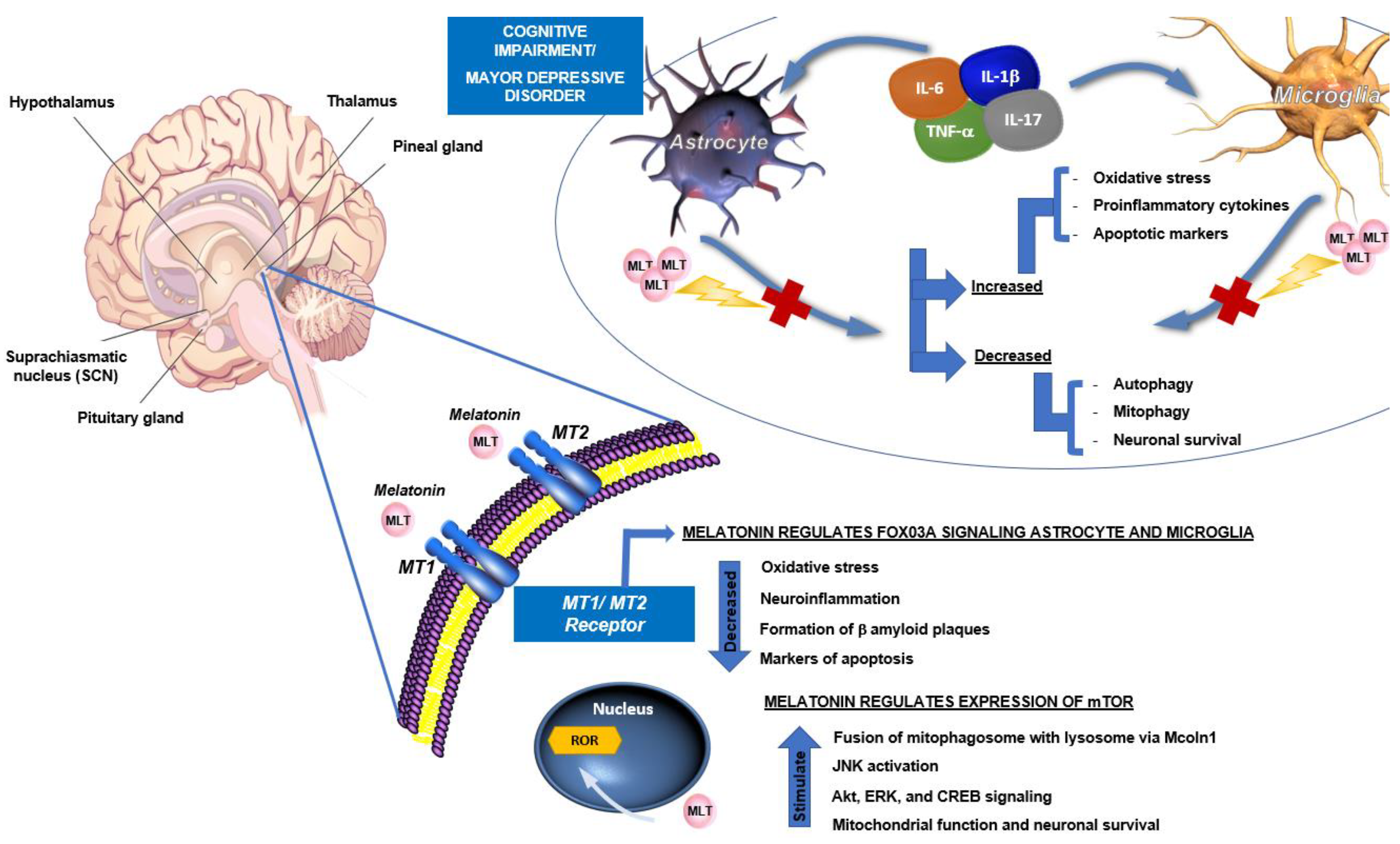 Molecules 27 04888 g006 Molecules 27 04888 g006