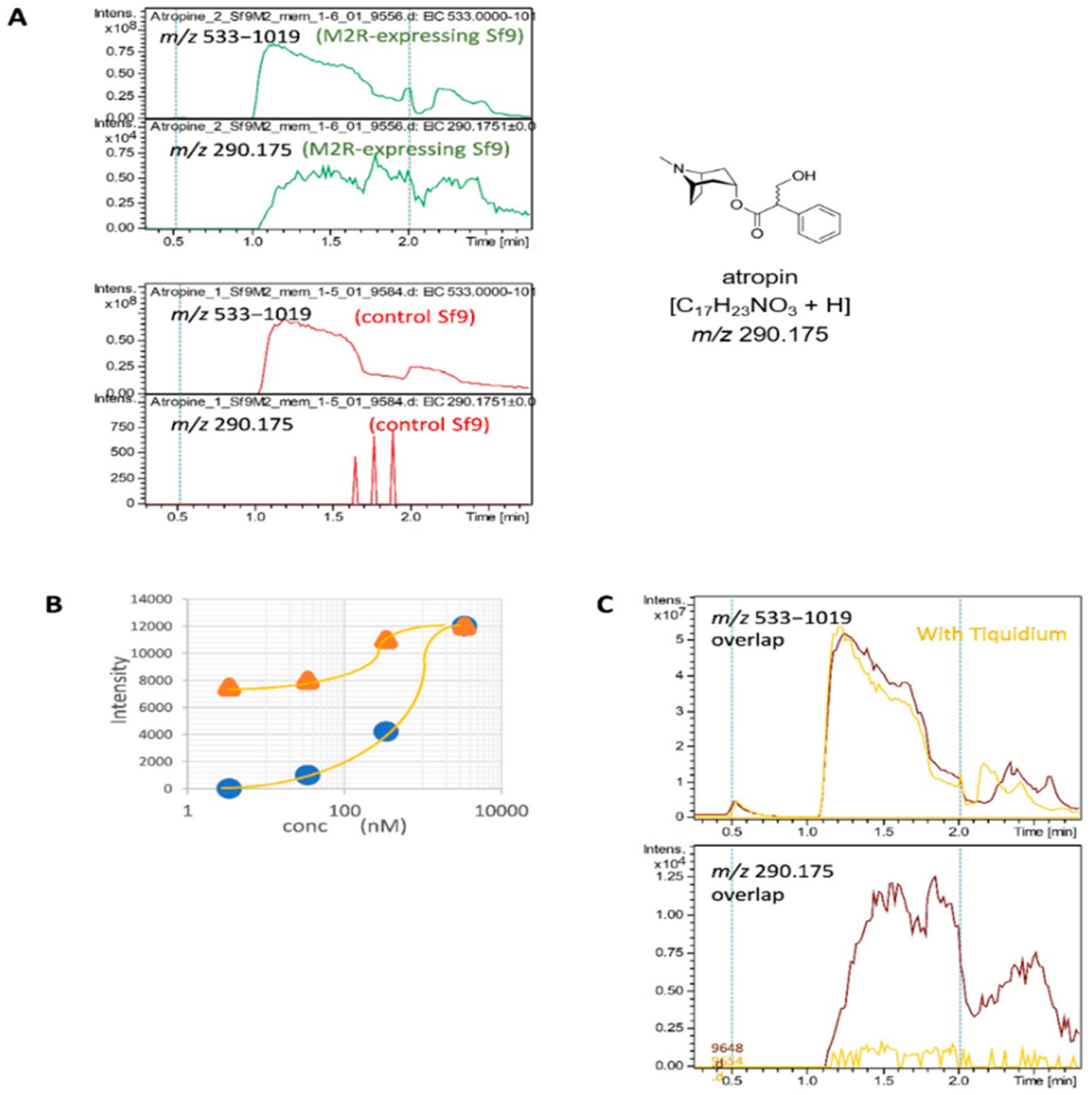 Molecules 27 04889 g004