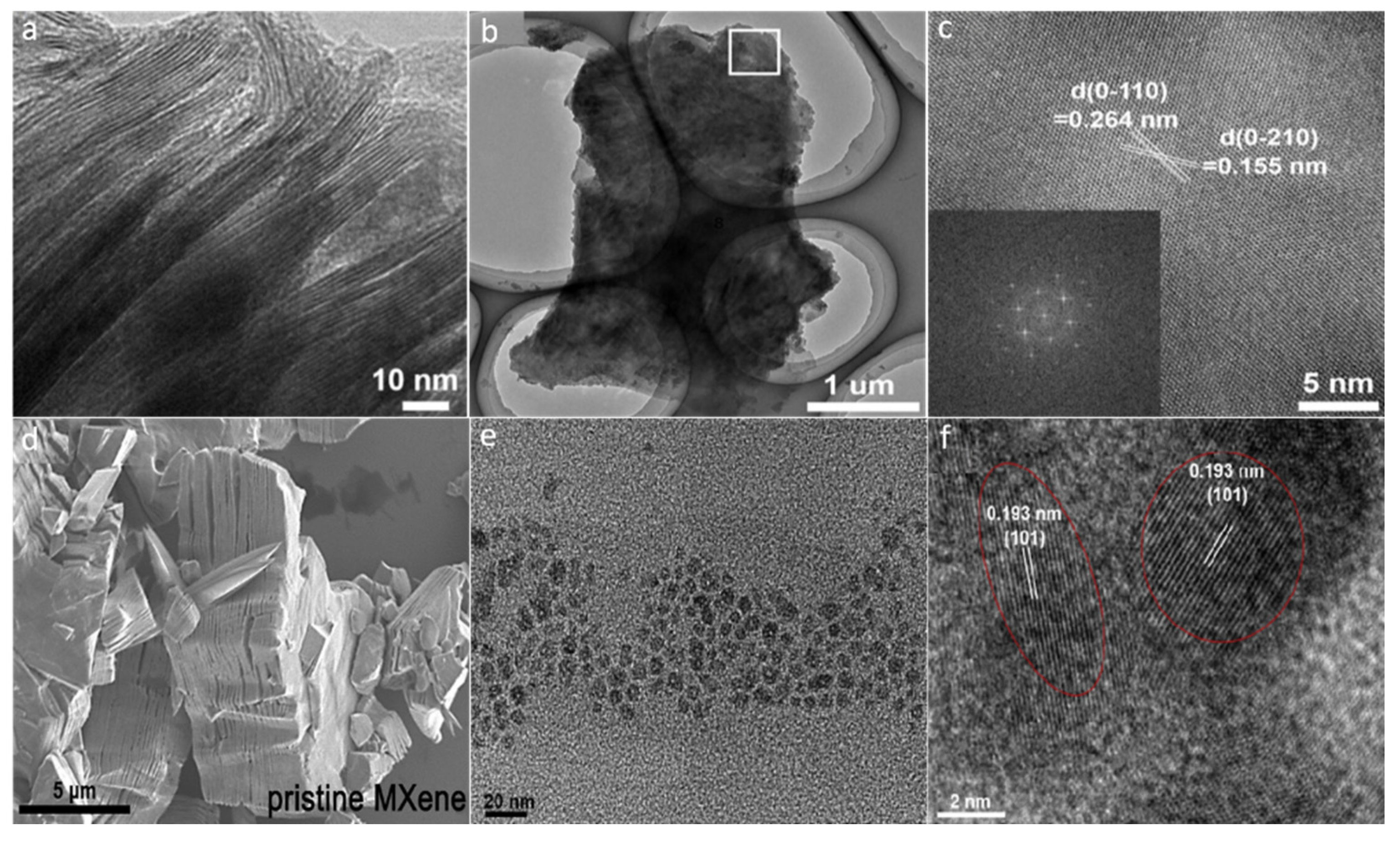 Molecules 27 04909 g005