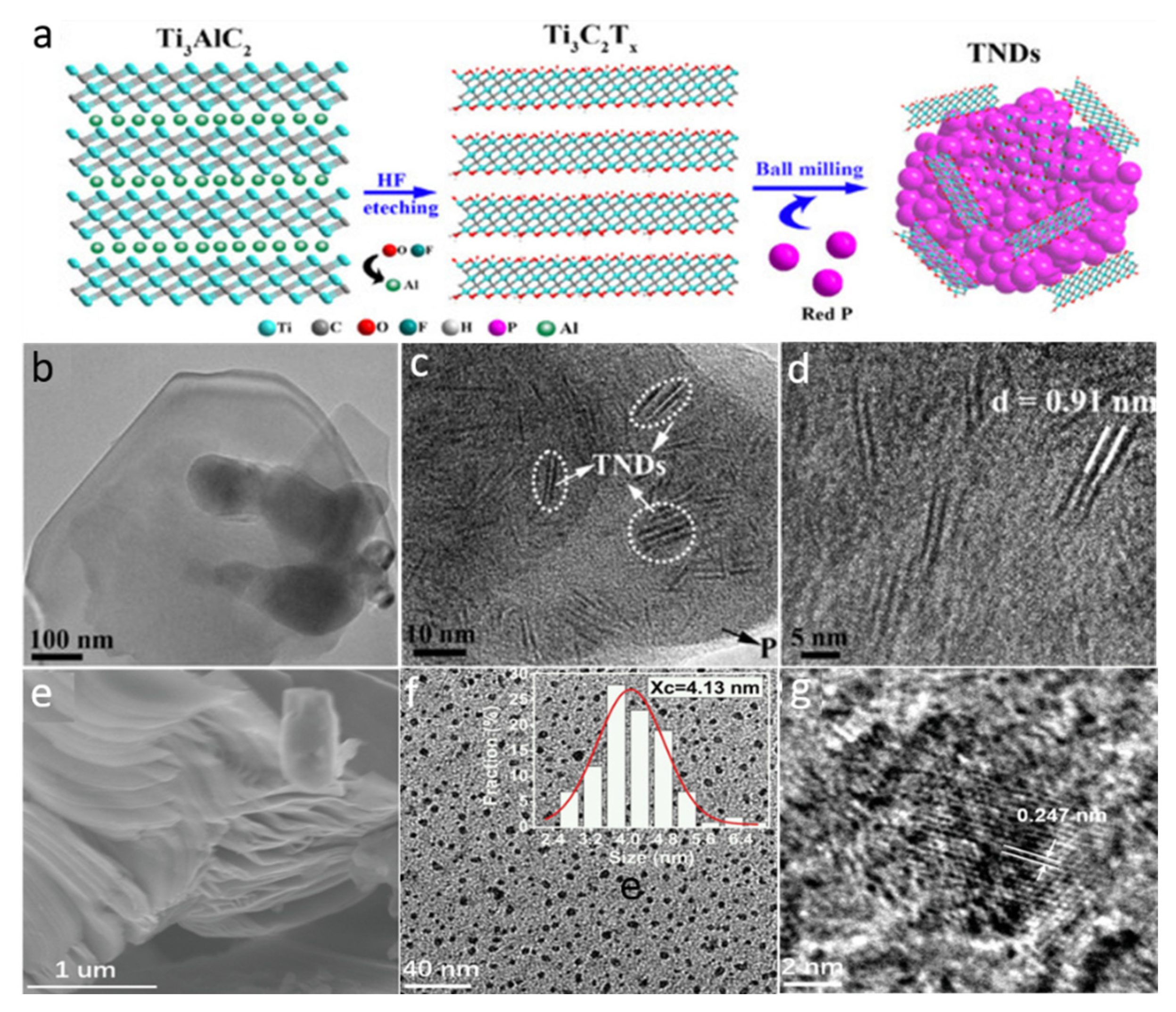 Molecules 27 04909 g006