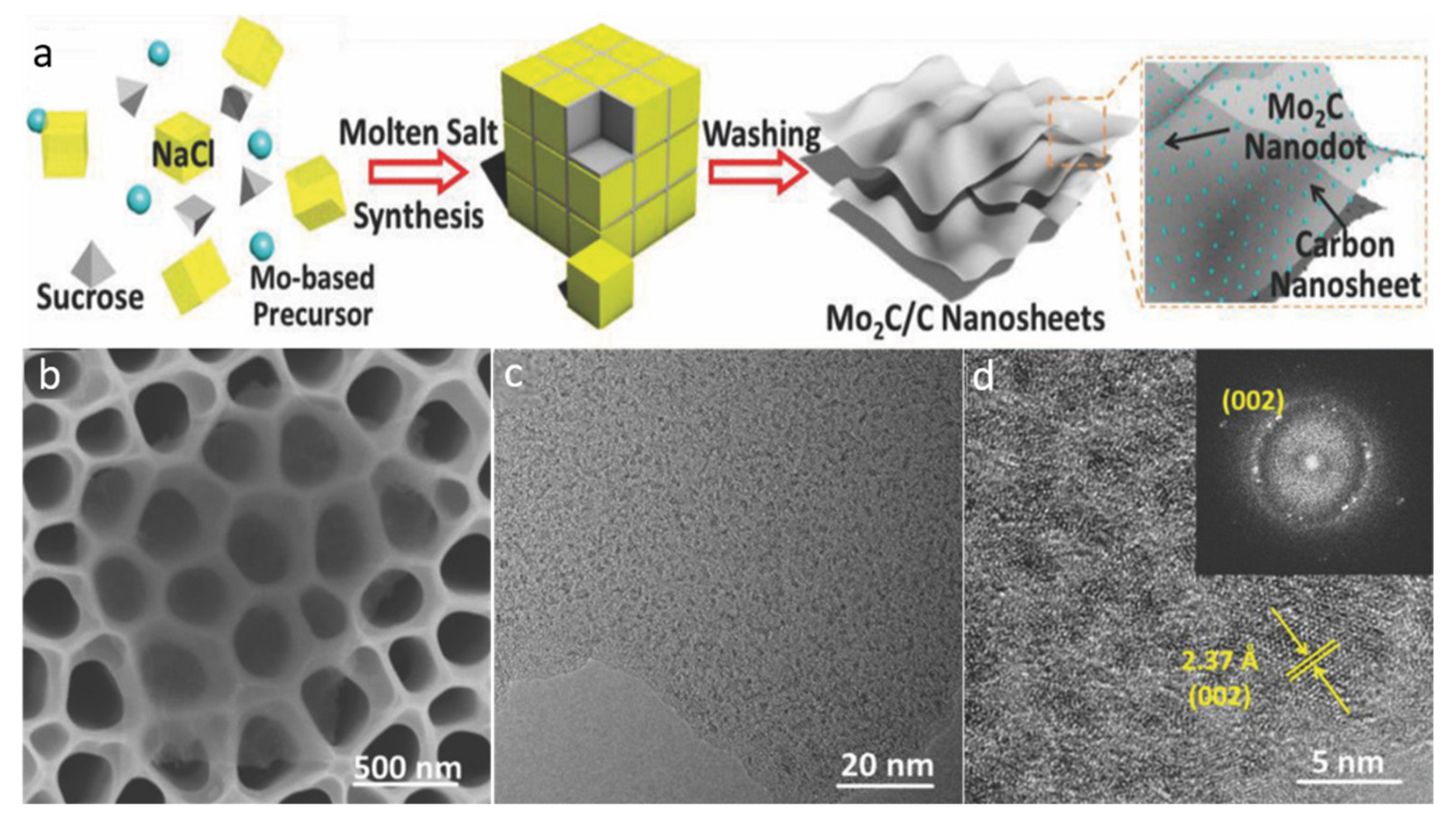 Molecules 27 04909 g007