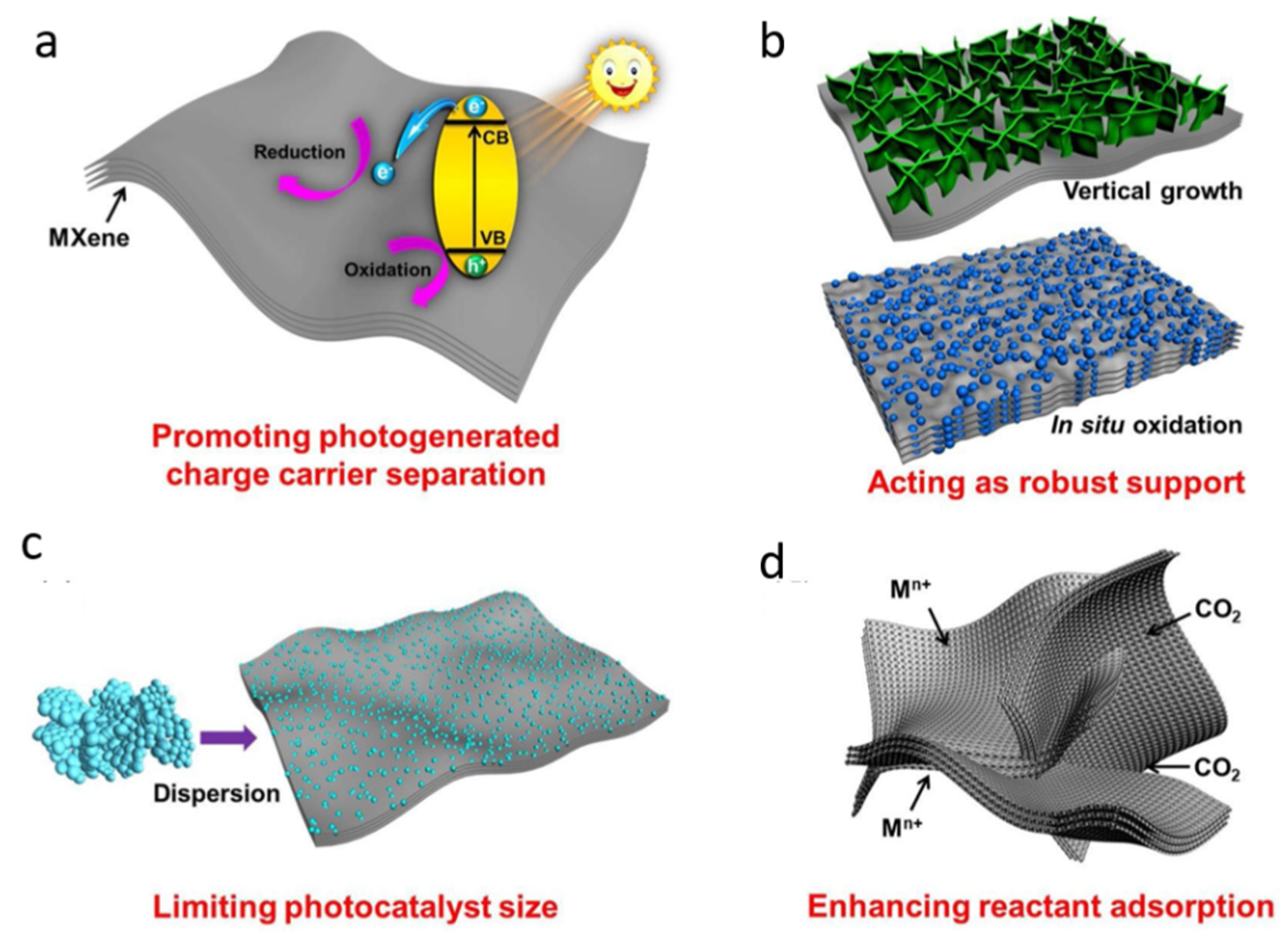 Molecules 27 04909 g009