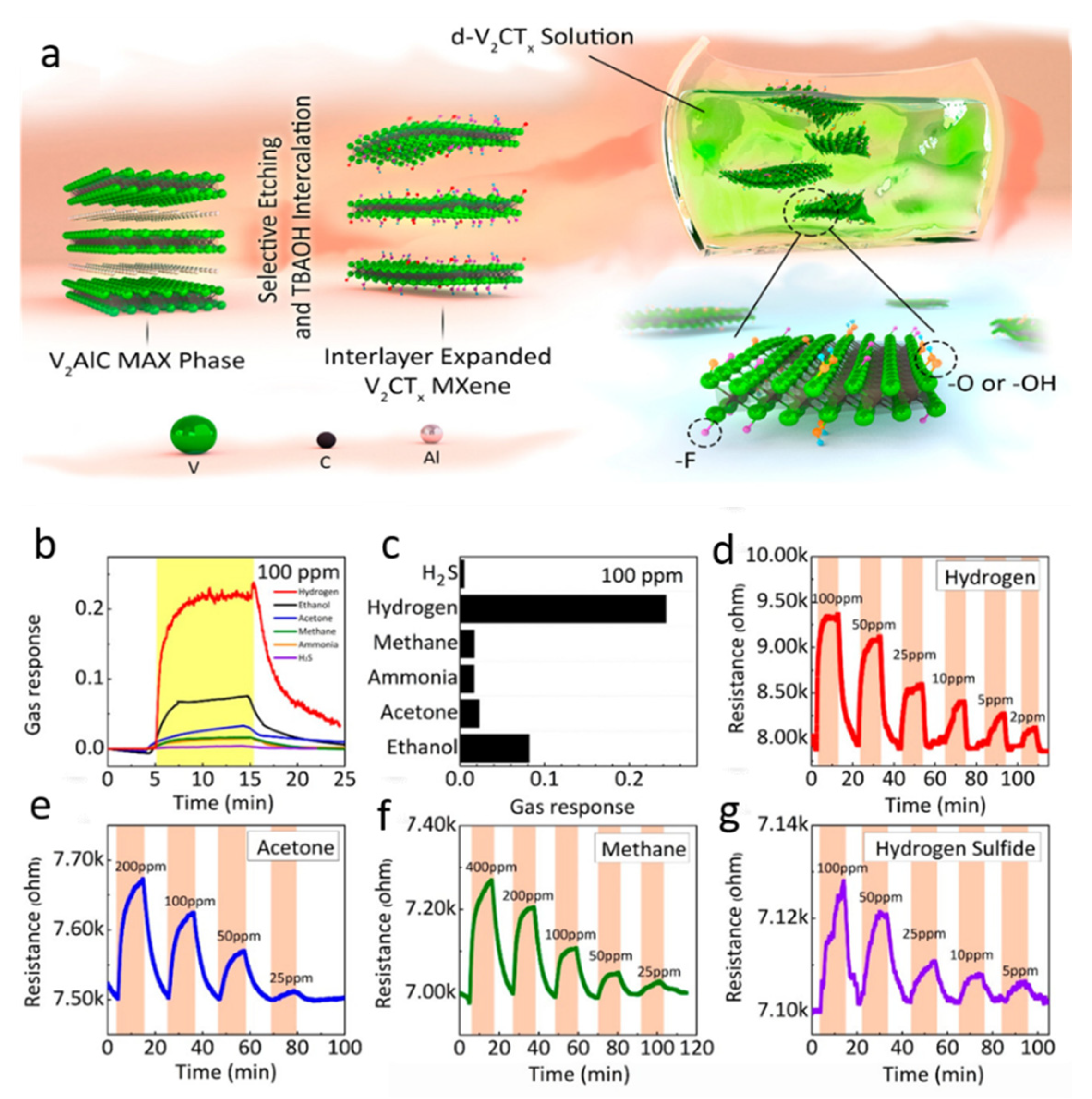 Molecules 27 04909 g012
