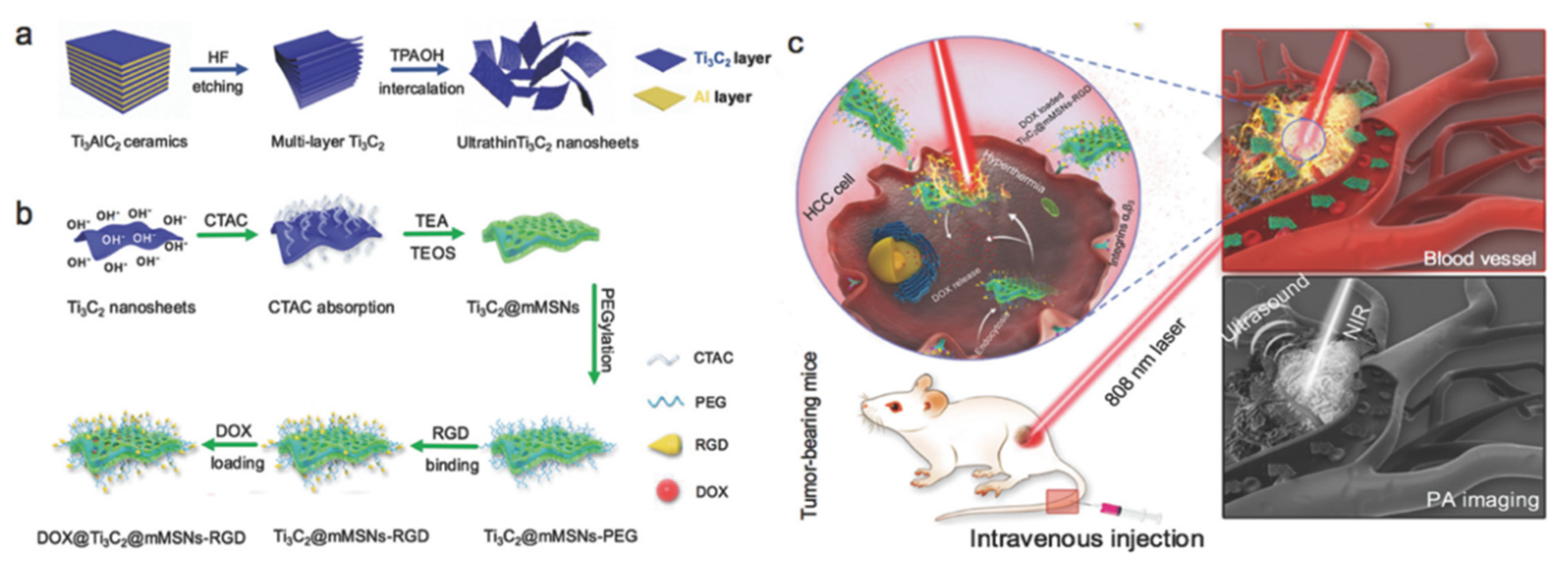 Molecules 27 04909 g013