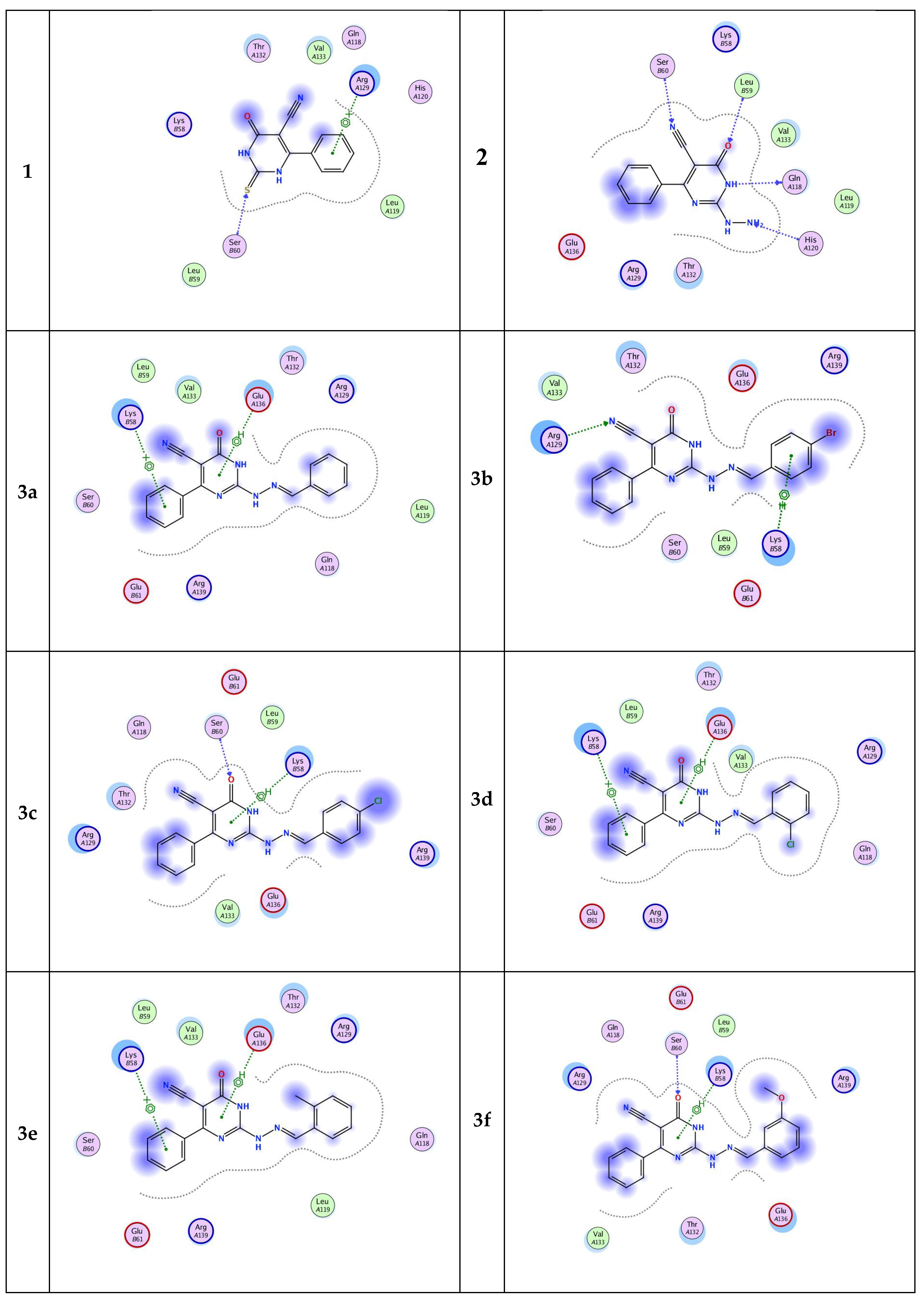 Molecules 27 04912 g004a