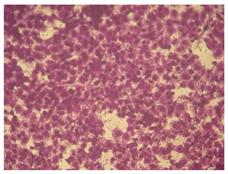 Molecules 27 04912 i006