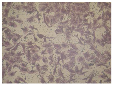 Molecules 27 04912 i007