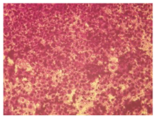 Molecules 27 04912 i008