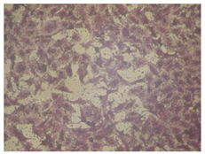 Molecules 27 04912 i009