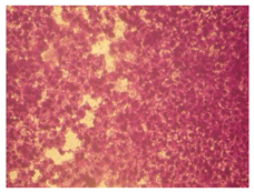 Molecules 27 04912 i010