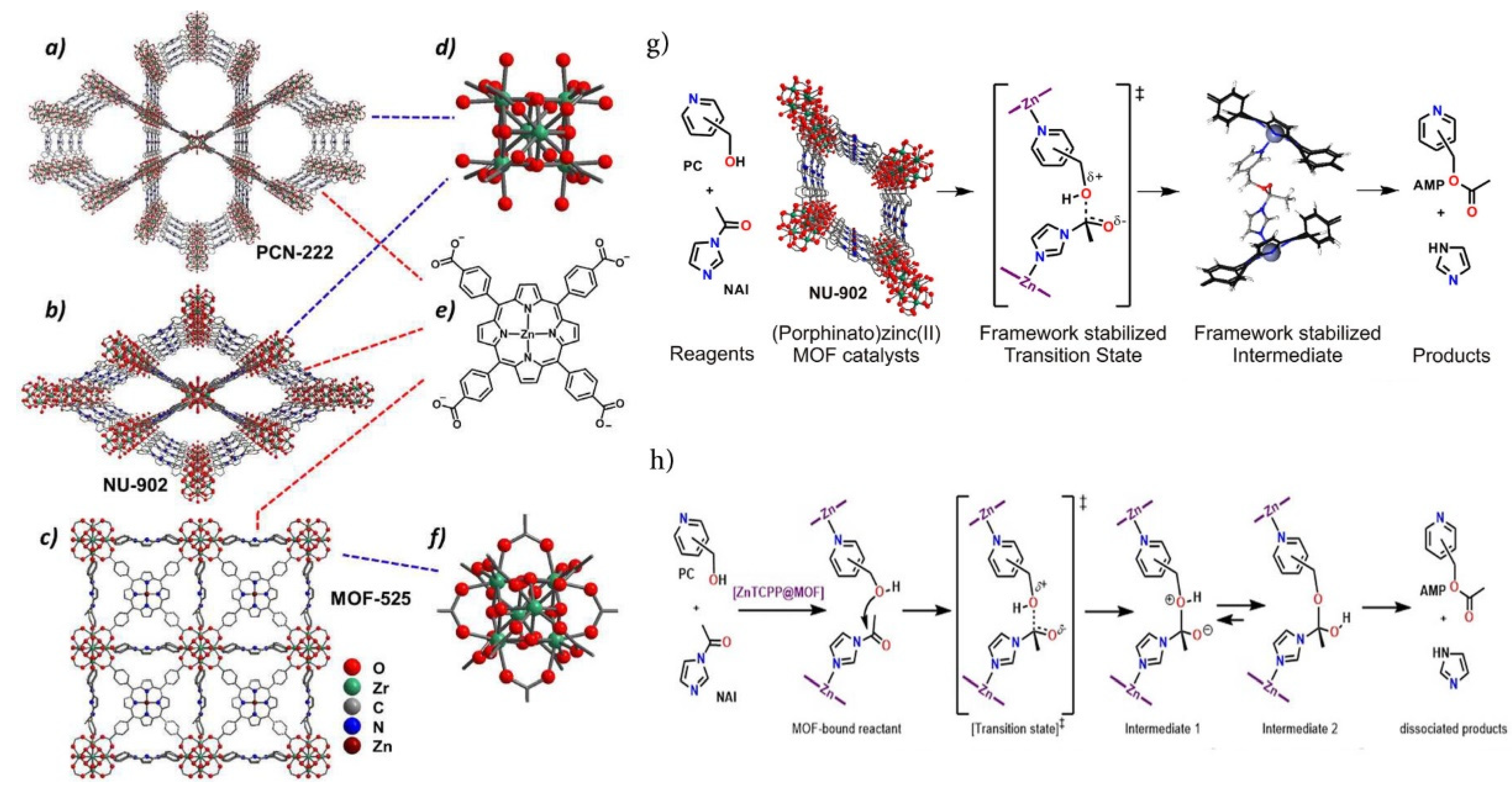 Molecules 27 04917 g007