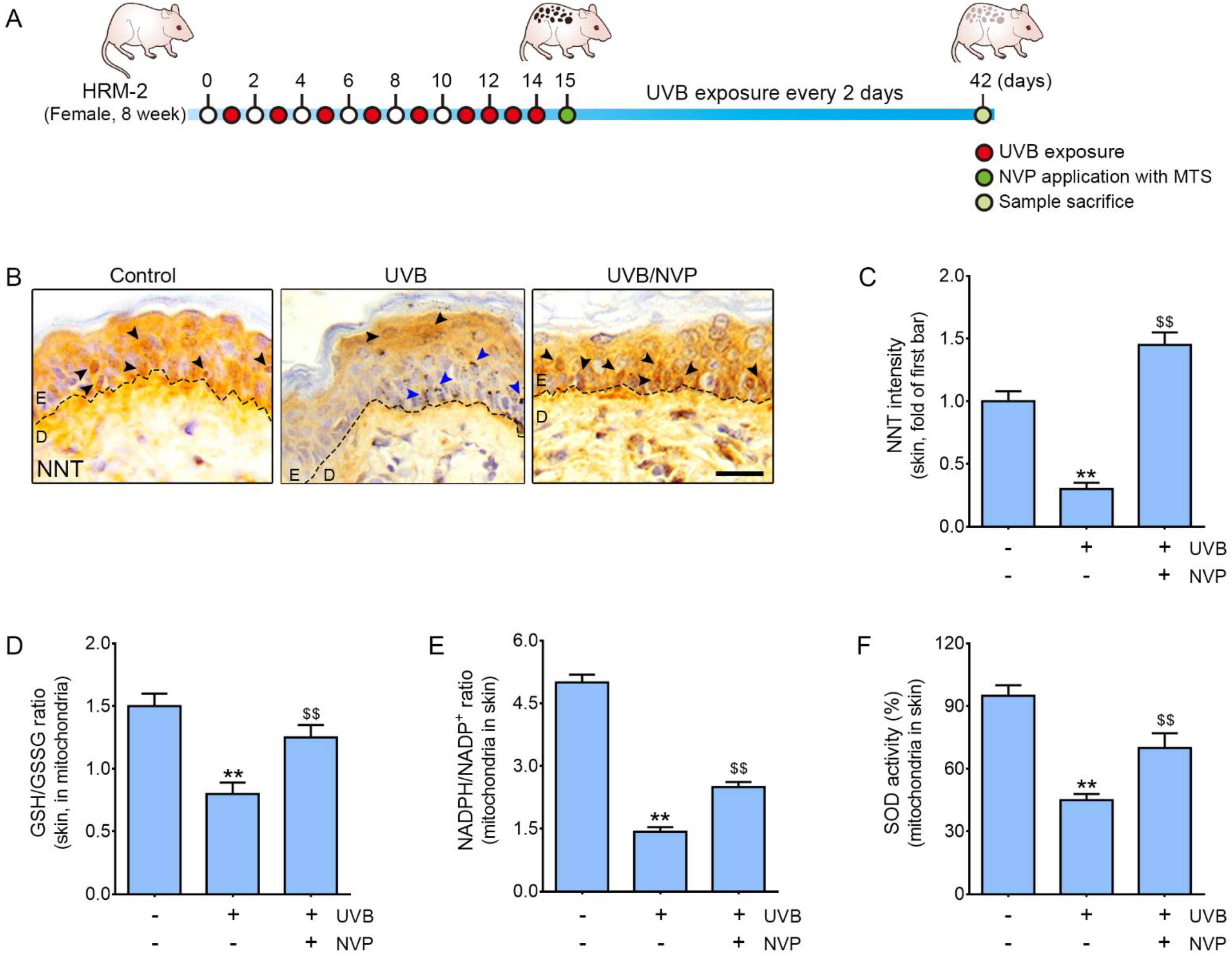 Molecules 27 04923 g001