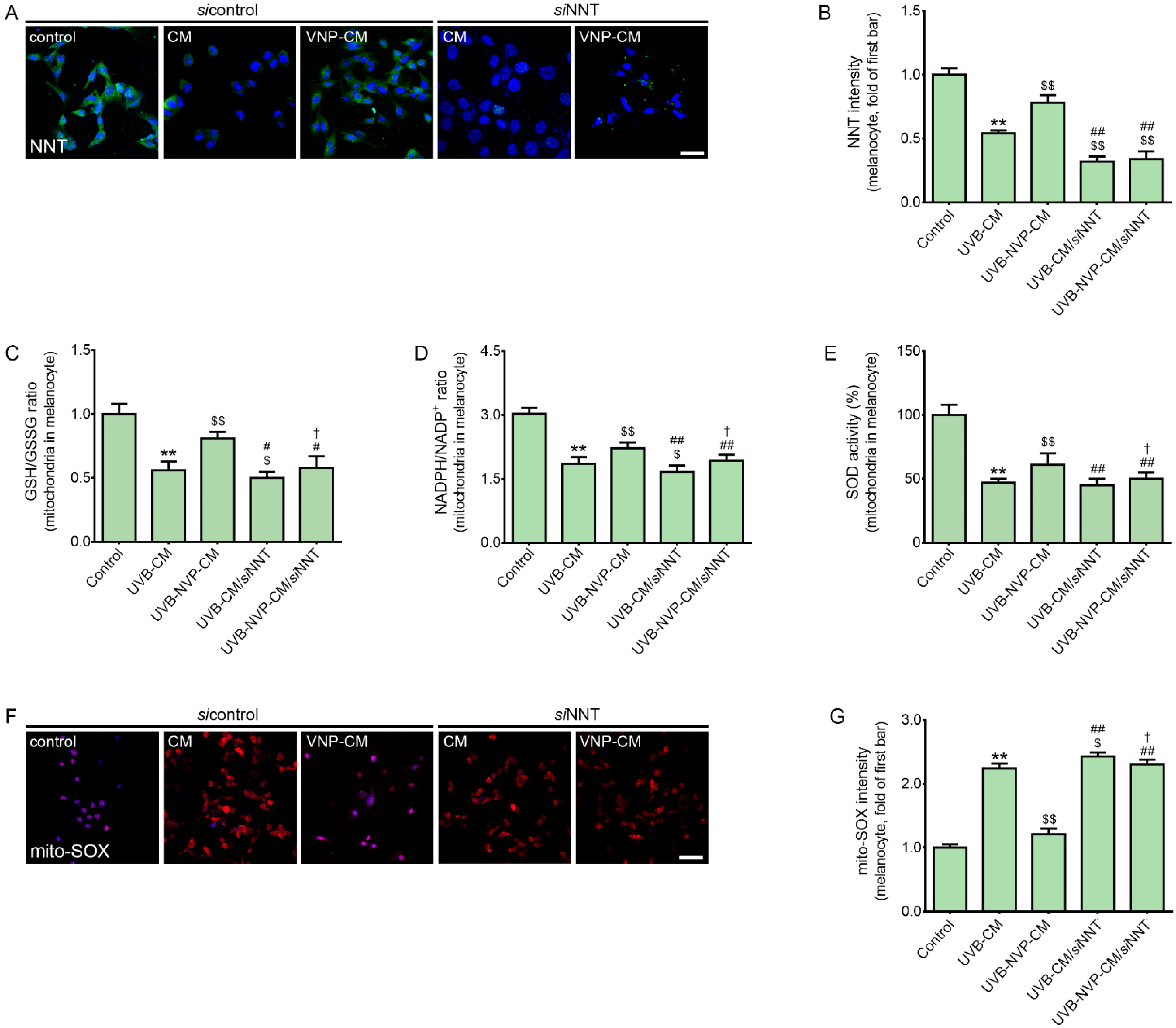 Molecules 27 04923 g002