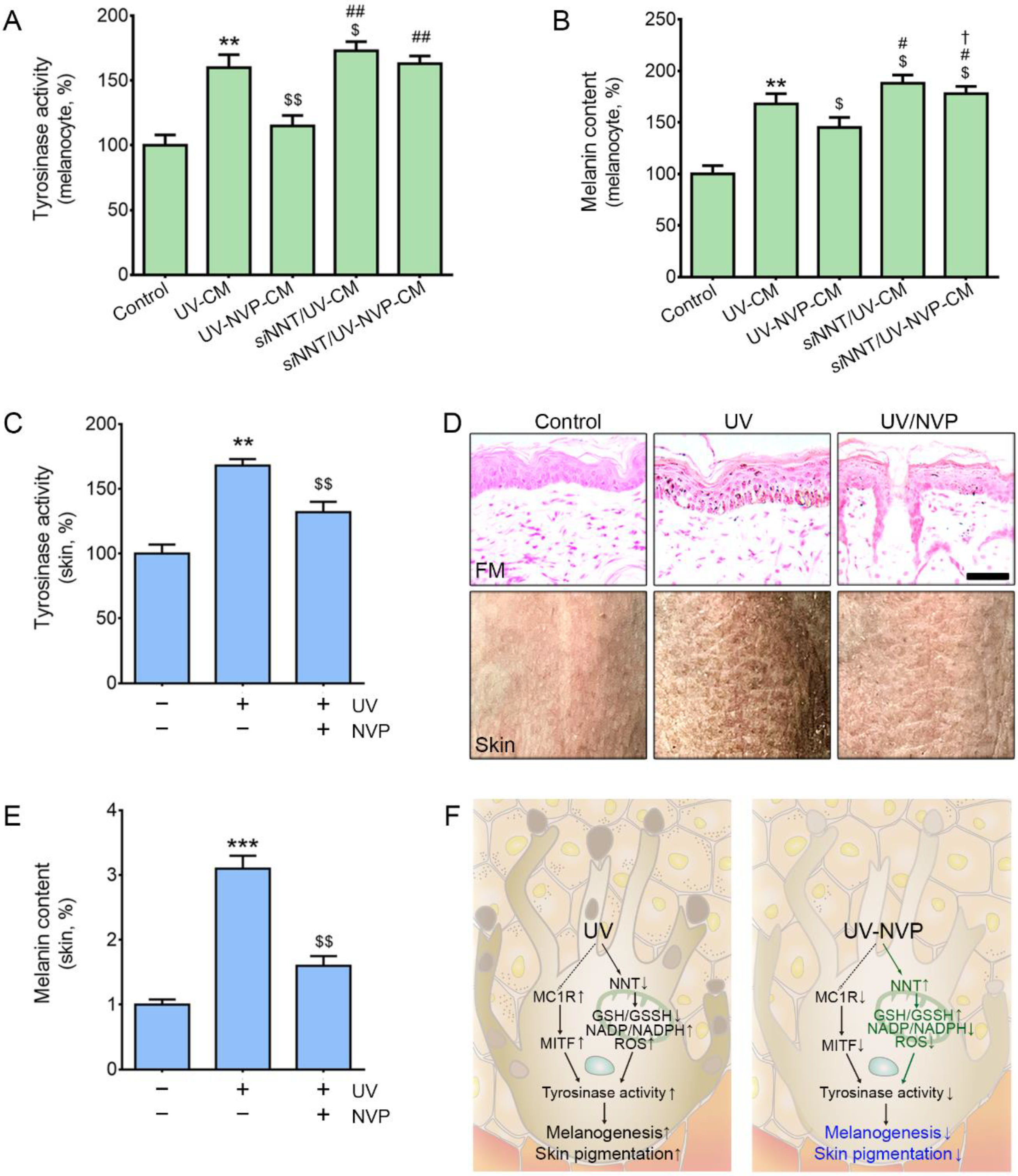 Molecules 27 04923 g004