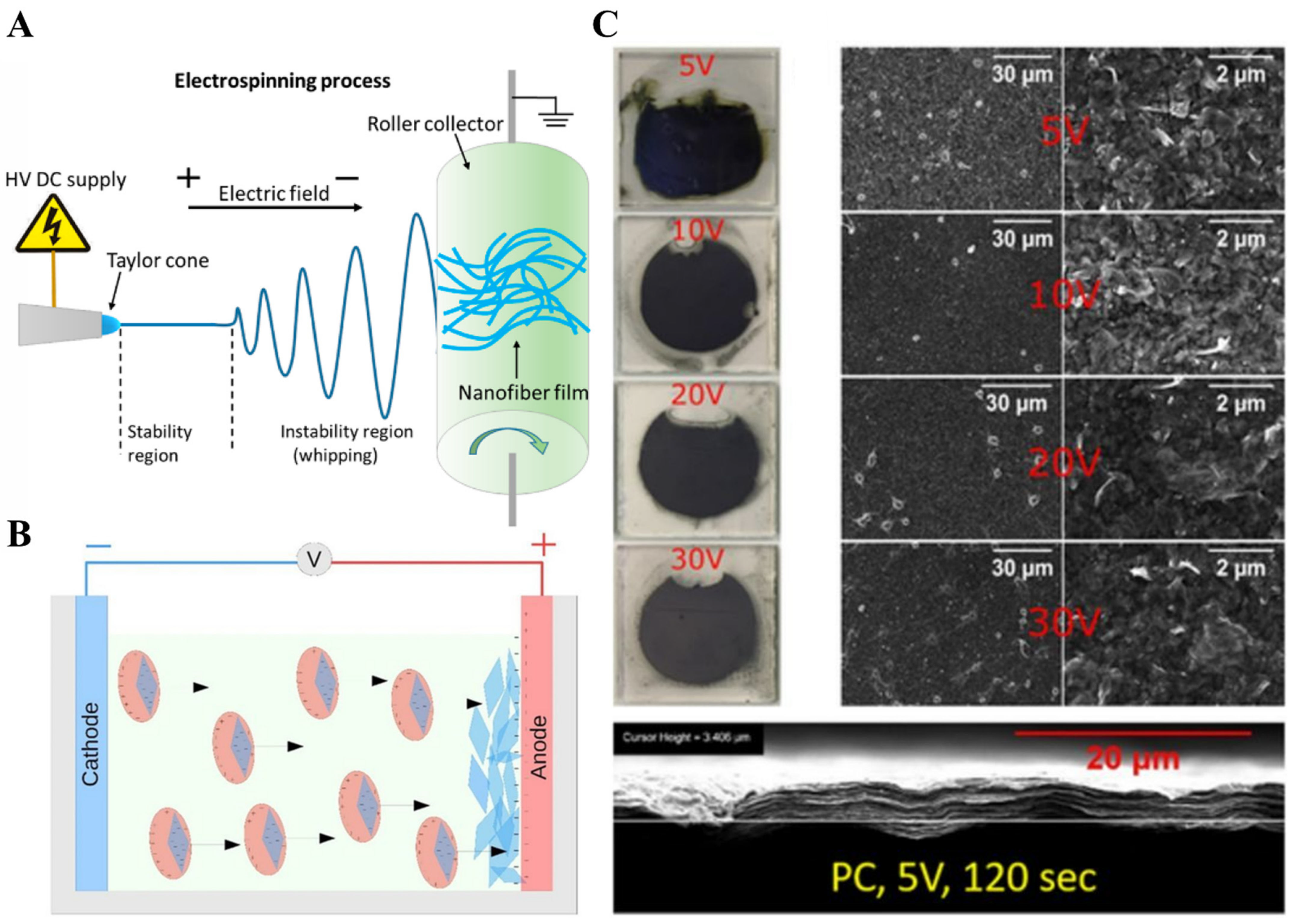 Molecules 27 04925 g004 550