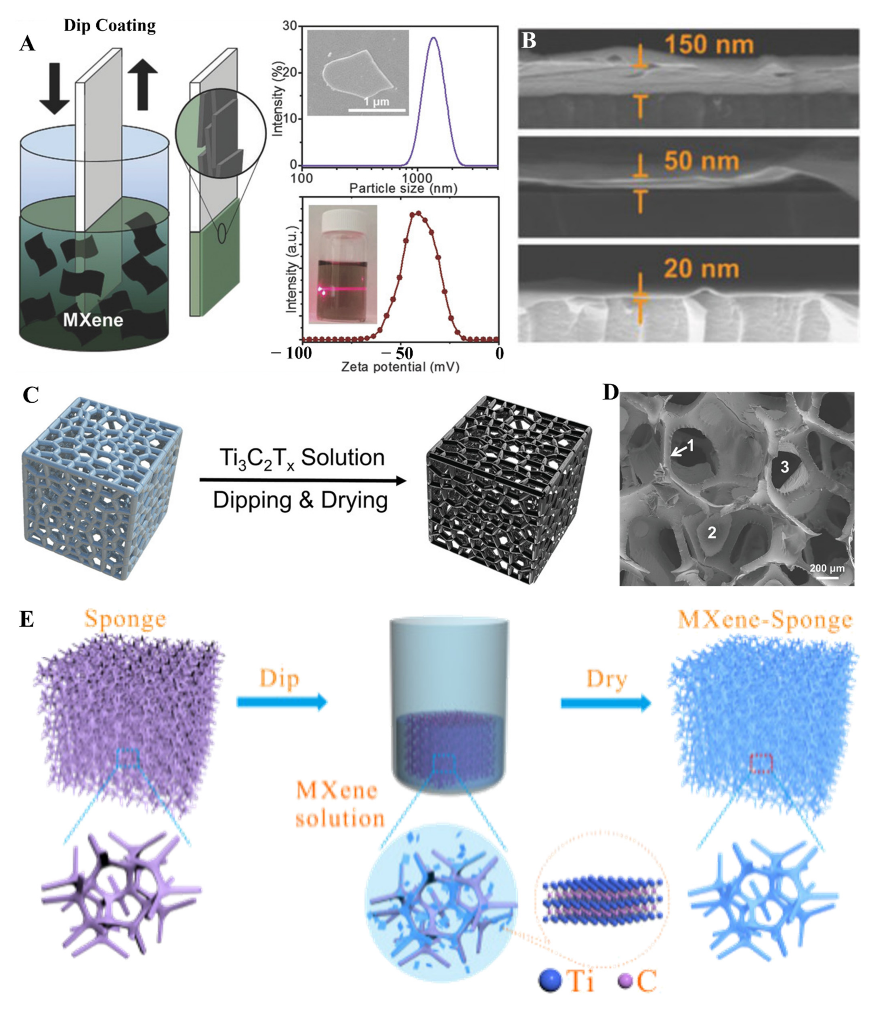 Molecules 27 04925 g007 550