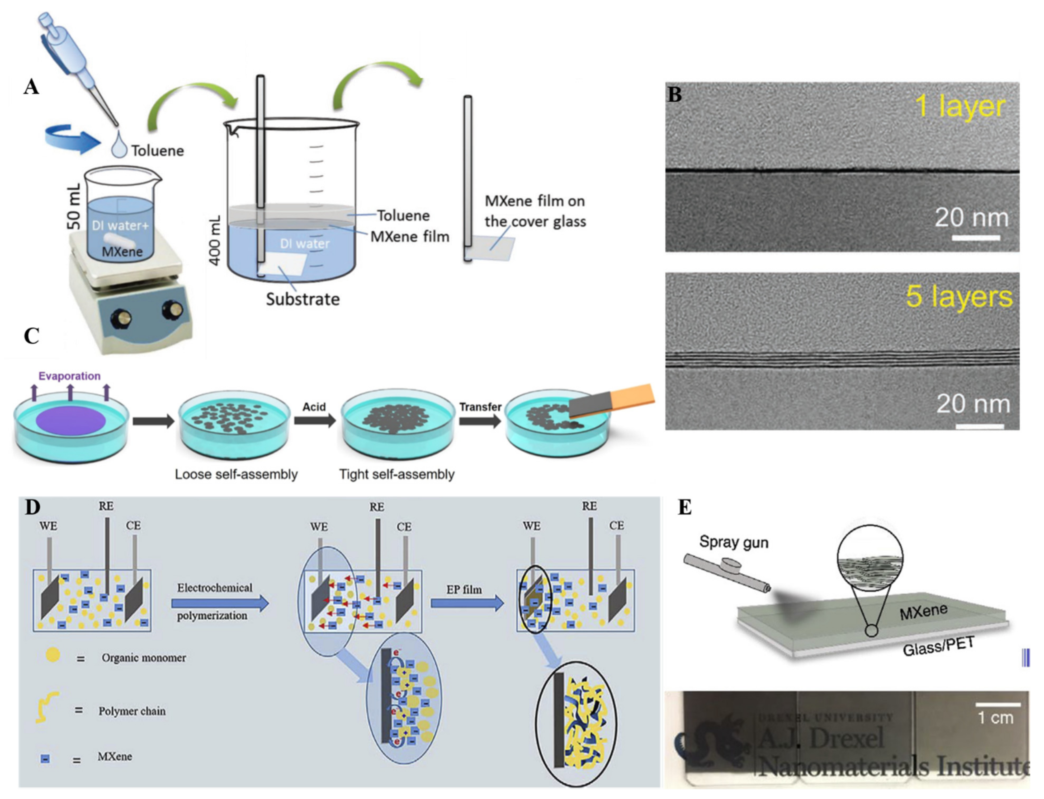 Molecules 27 04925 g008 550
